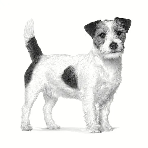Pill Assist Small Dog | Bocconi modellabili | 2 x 90 g | Per cani piccoli - immagine 5