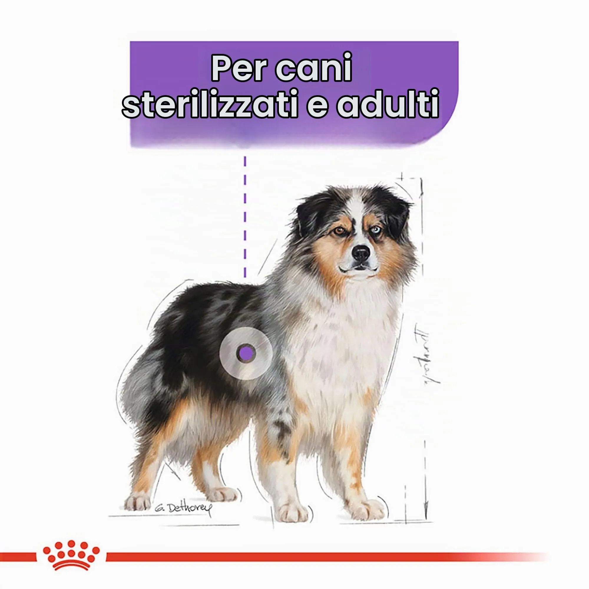 ROYAL CANINE ADULT STERILISED MEDIUM 12KG - immagine 3