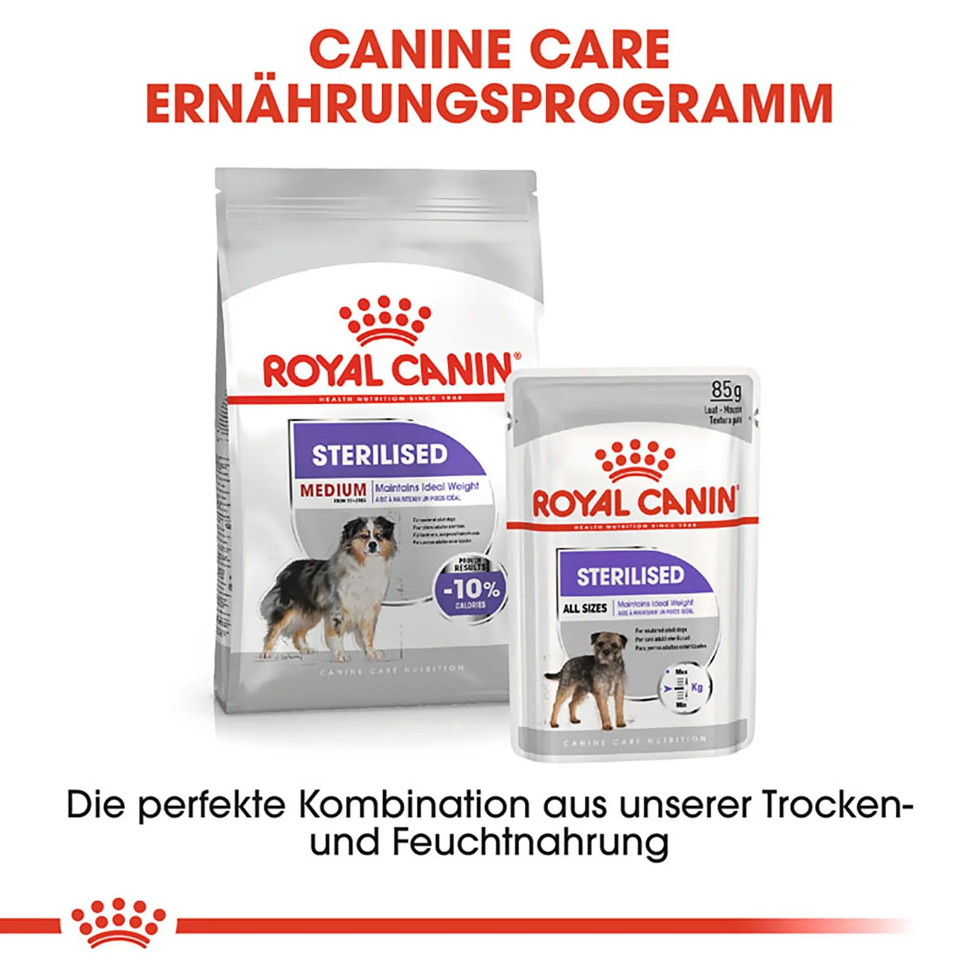 ROYAL CANINE ADULT STERILISED MEDIUM 12KG - immagine 6
