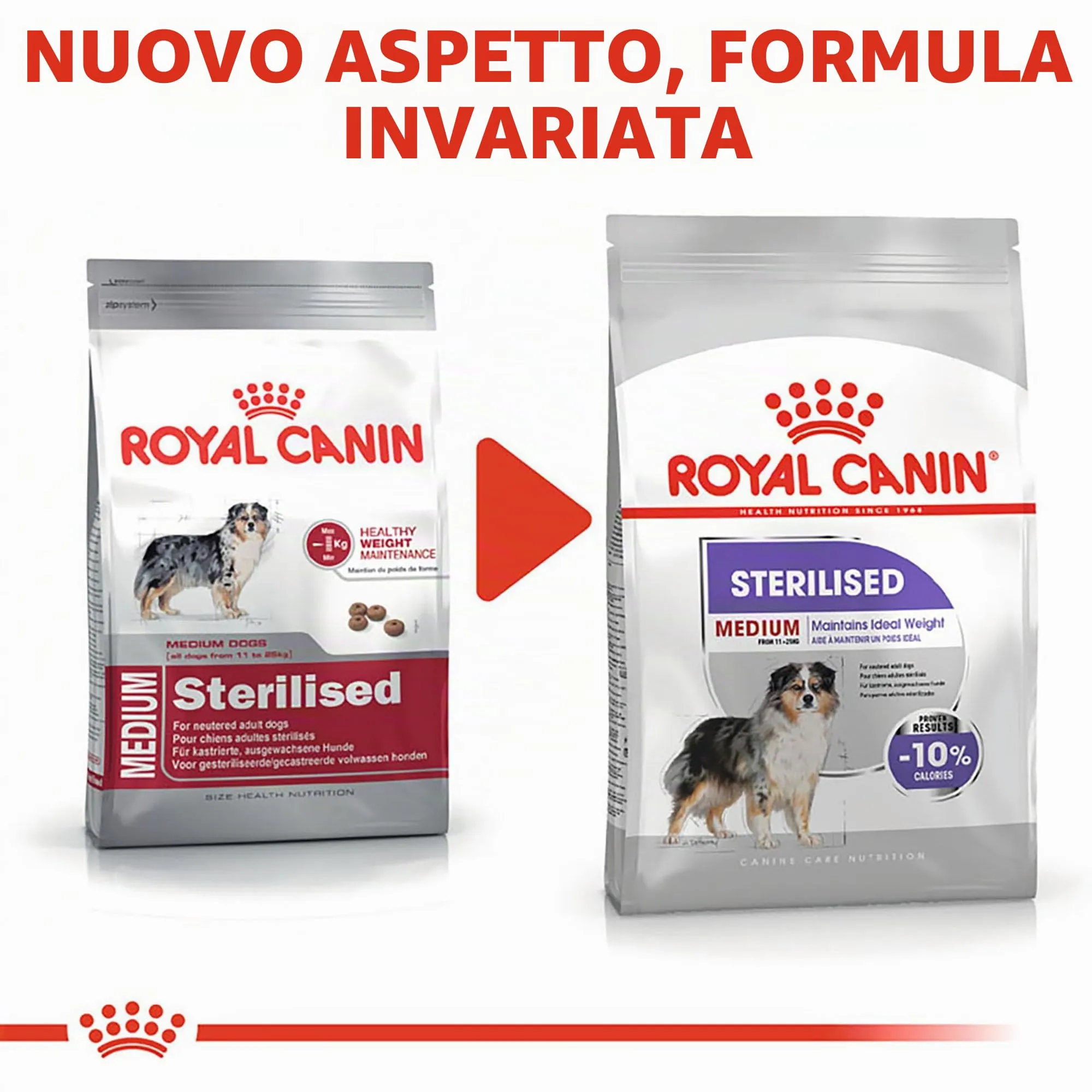 ROYAL CANINE ADULT STERILISED MEDIUM 12KG - immagine 7