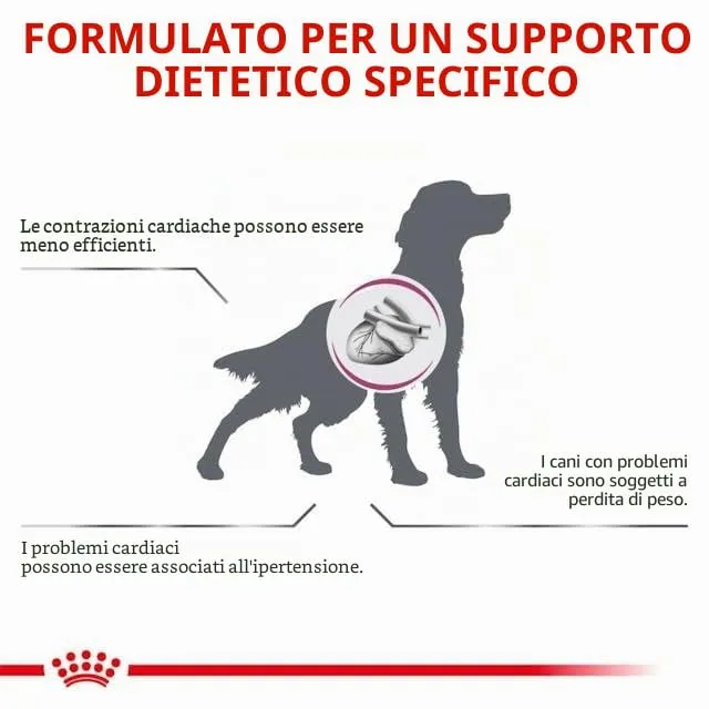 Royal Canin Veterinary Cardiac | 12 x 200 g | Dieta - alimento completo per cani adulti | Può aiutare a sostenere la funzione cardiaca nell'insufficienza cardiaca cronica | Mousse - immagine 7