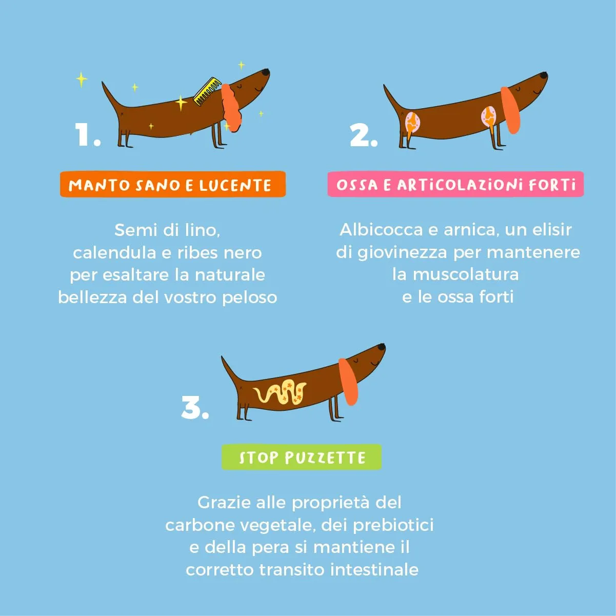 Set 3 Biscotti Funzionali per Cani | Supporto Articolazioni, Pelo e Digestione | Con Glucosamina Ribes Nero Carbone Vegetale | Appetitosi come uno Snack utili come un Integratore | 3x100gr | Hygge Dog - immagine 2