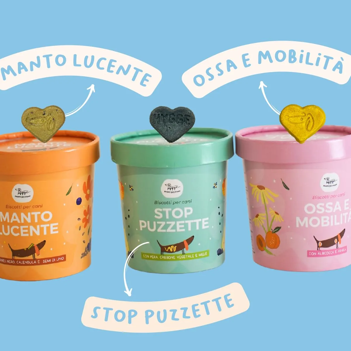 Set 3 Biscotti Funzionali per Cani | Supporto Articolazioni, Pelo e Digestione | Con Glucosamina Ribes Nero Carbone Vegetale | Appetitosi come uno Snack utili come un Integratore | 3x100gr | Hygge Dog - immagine 3