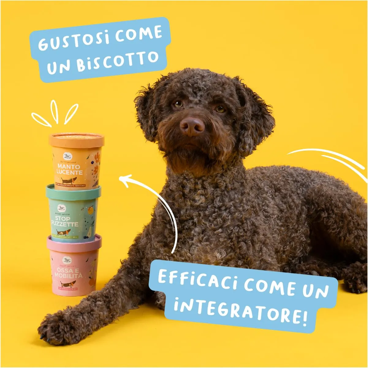 Set 3 Biscotti Funzionali per Cani | Supporto Articolazioni, Pelo e Digestione | Con Glucosamina Ribes Nero Carbone Vegetale | Appetitosi come uno Snack utili come un Integratore | 3x100gr | Hygge Dog - immagine 4