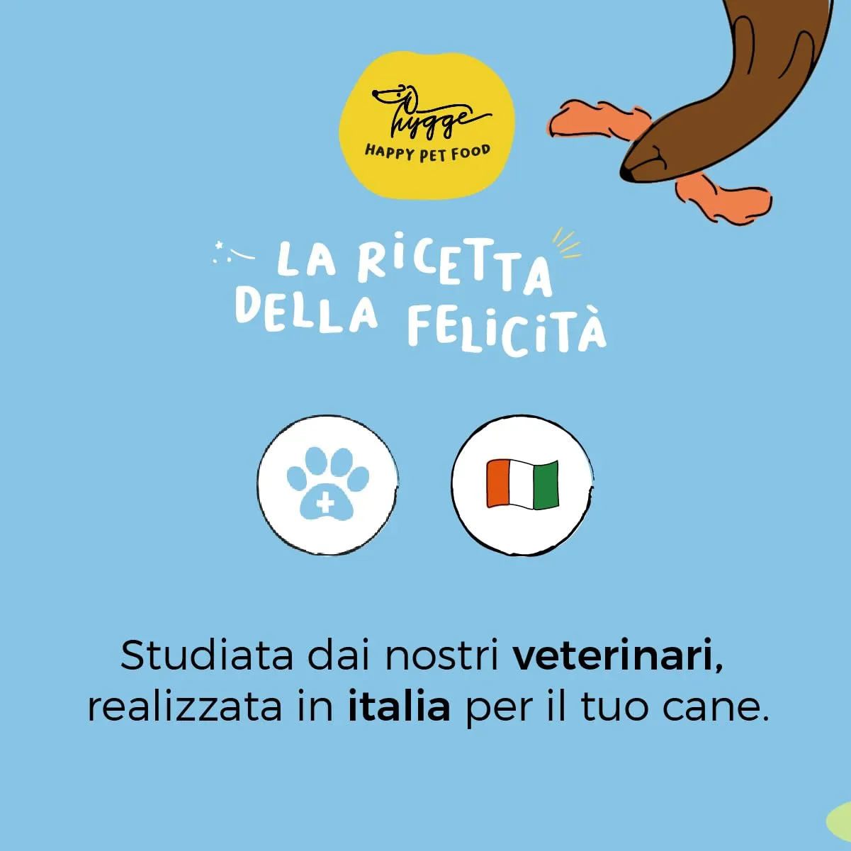 Set 3 Biscotti Funzionali per Cani | Supporto Articolazioni, Pelo e Digestione | Con Glucosamina Ribes Nero Carbone Vegetale | Appetitosi come uno Snack utili come un Integratore | 3x100gr | Hygge Dog - immagine 5