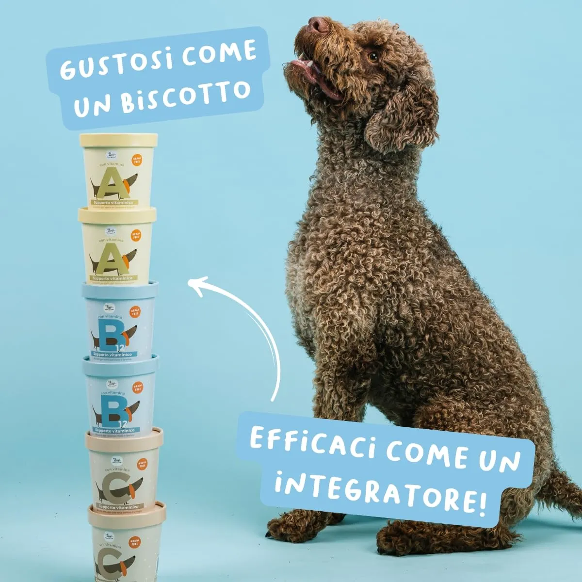 Hygge Dog Set 3X Biscotti per Cani Vitaminici, Snack per Cani Vit. A, B12, C | ABC della Salute del Cane senza Cereali nè Glutine | Appetitosi come uno Snack utili come un Integratore | 3x100gr - immagine 4