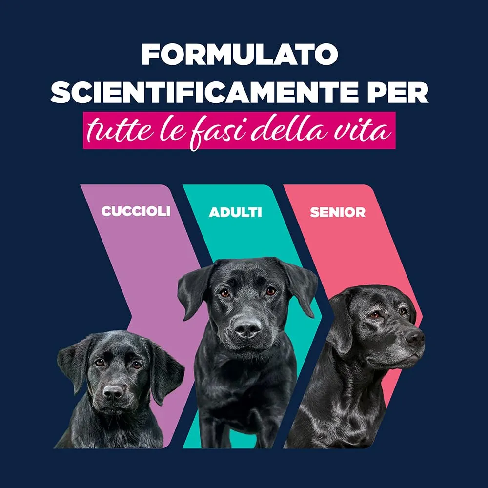 EUKANUBA Cibo umido cani anziani con manzo e zucca, 6 x 400 g - immagine 4