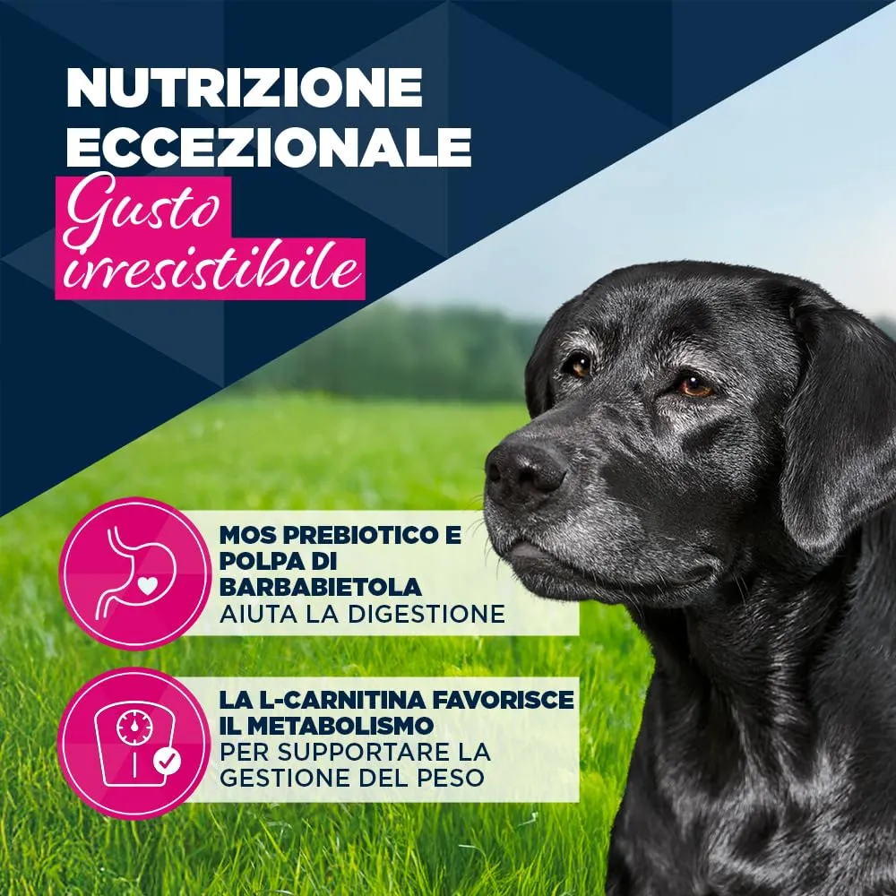 EUKANUBA Cibo umido cani anziani con trota e patate dolci, 6 x 400 g - immagine 3