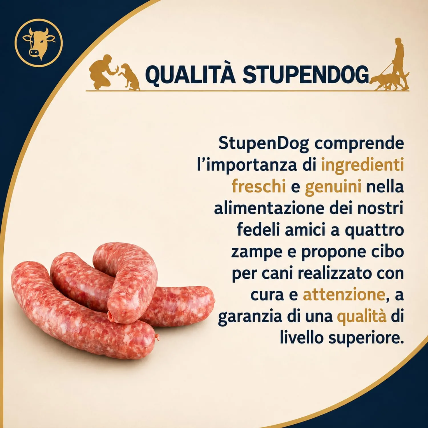 STUPENDOG Crocchette Cani Maiale 3kg per Cani Adulti Taglia Medio/grande in Mantenimento - Croccantini cane - Cibo per cani - immagine 5