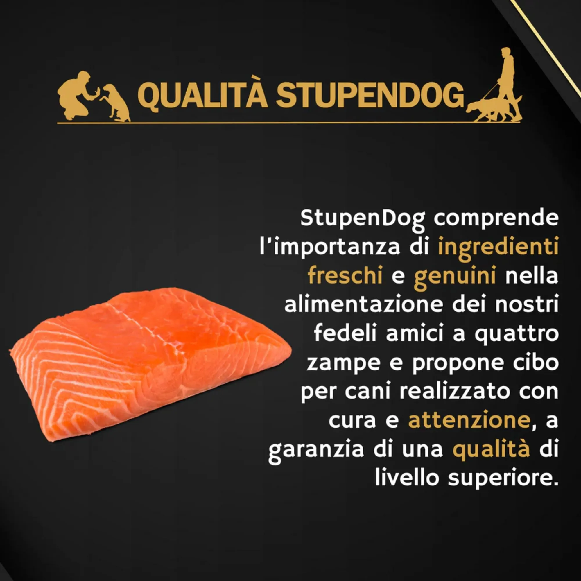 STUPENDOG Crocchette Cani Salmone 15kg per Cani Adulti di Tutte le Taglie - Croccantini Alimento Completo con Salmone - Per il Mantenimento del Cane - immagine 3