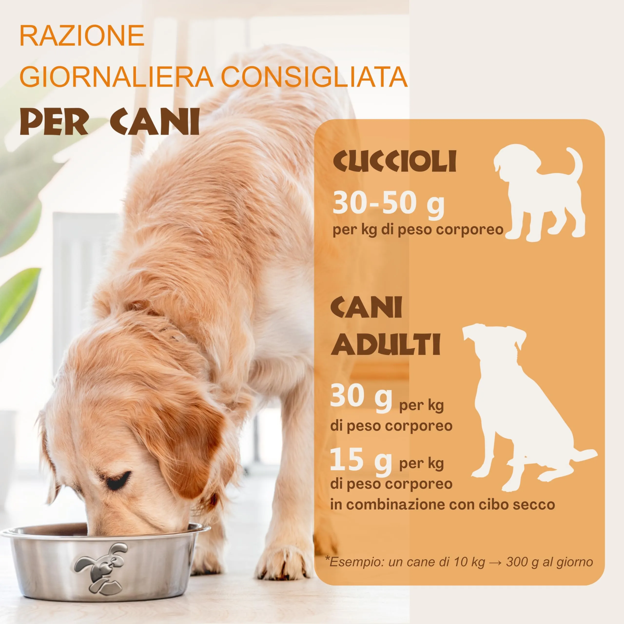 CHEWSTER Salsiccia per cani – pollo – 4 × 800 g (3,2 kg) – Rotolo di cibo umido per cani senza cereali ad alto contenuto di carne – Alimento completo - immagine 3
