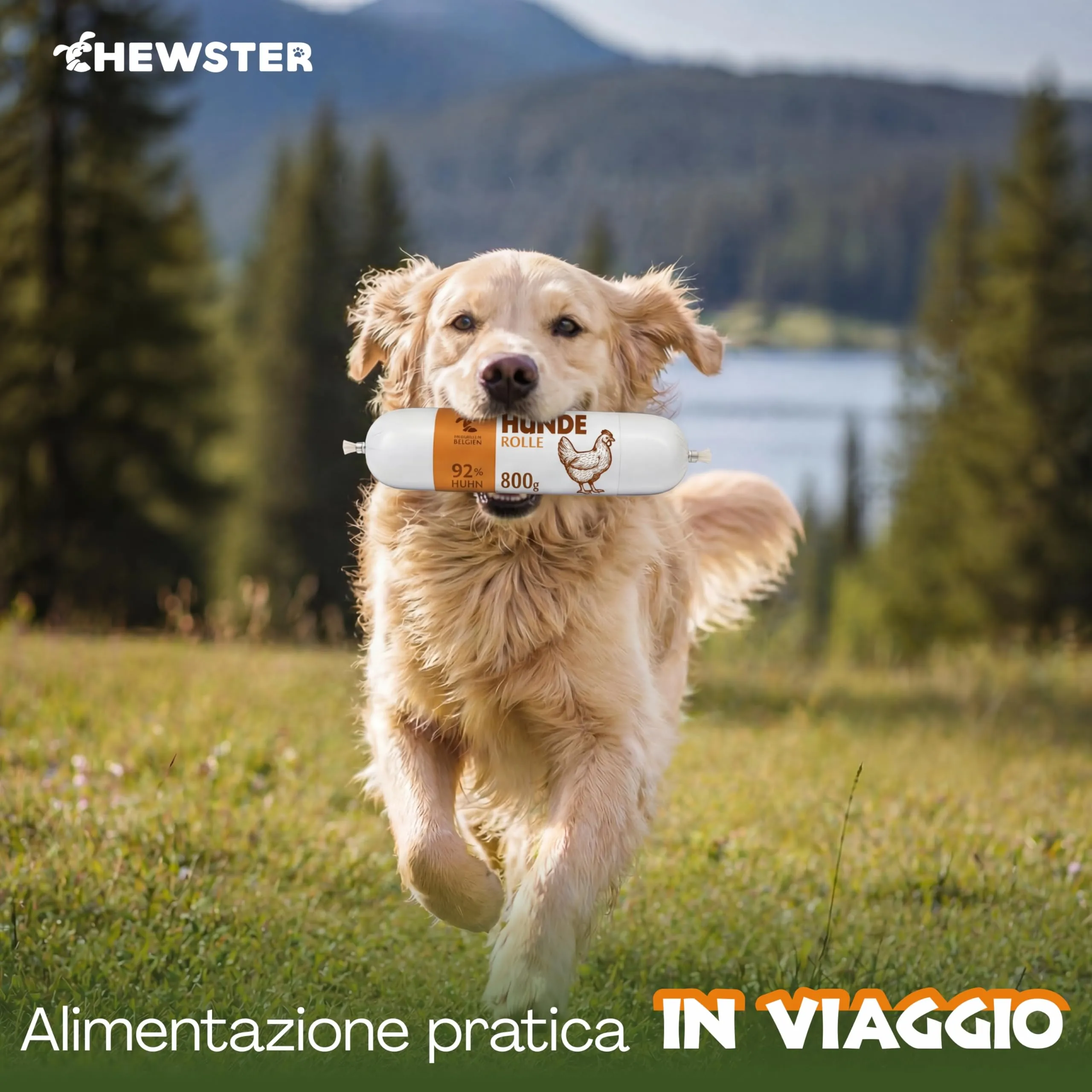 CHEWSTER Salsiccia per cani – pollo – 4 × 800 g (3,2 kg) – Rotolo di cibo umido per cani senza cereali ad alto contenuto di carne – Alimento completo - immagine 5