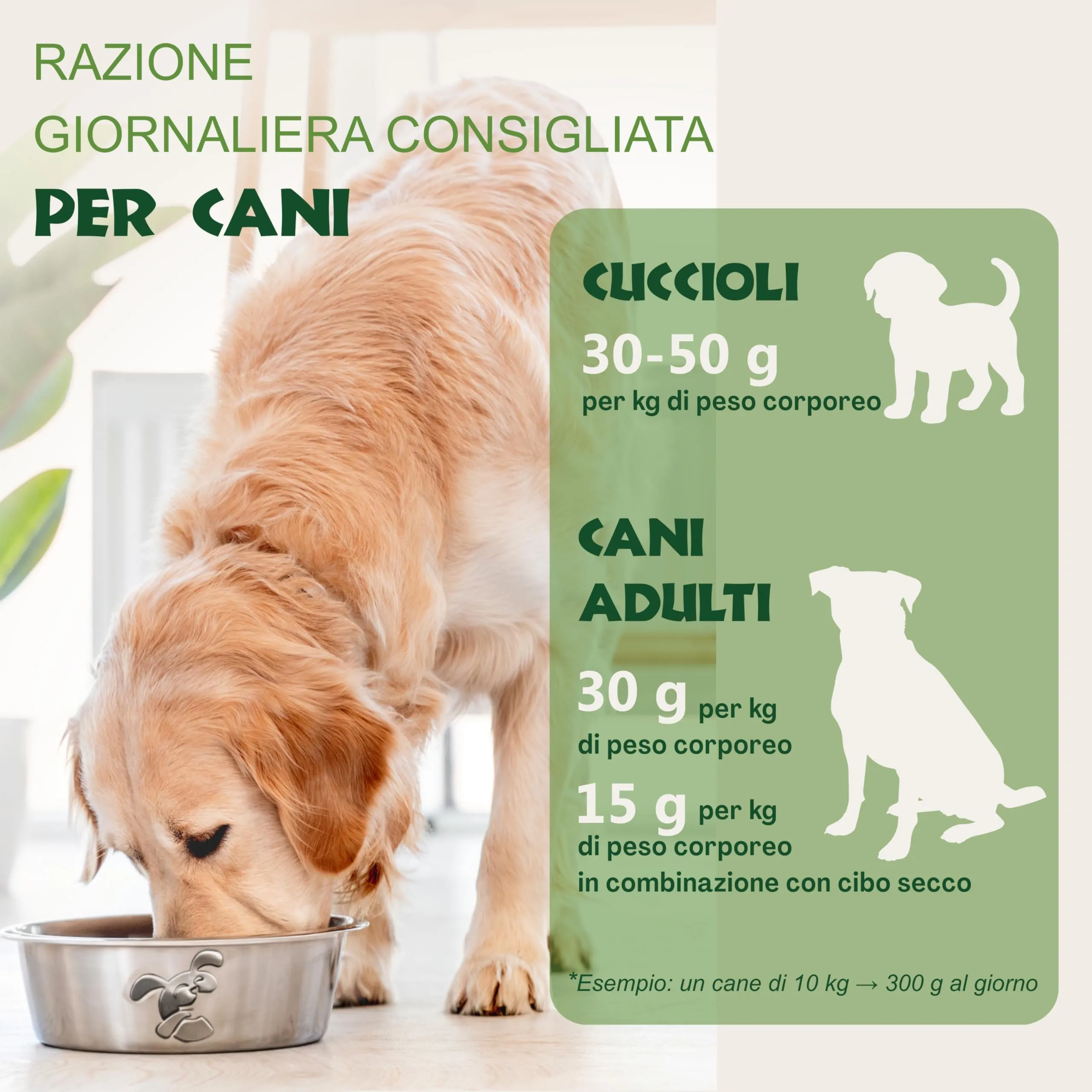 CHEWSTER Salsiccia per cani – anatra – 4 × 800 g (3,2 kg) – Rotolo di cibo umido per cani senza cereali ad alto contenuto di carne – Alimento completo - immagine 3