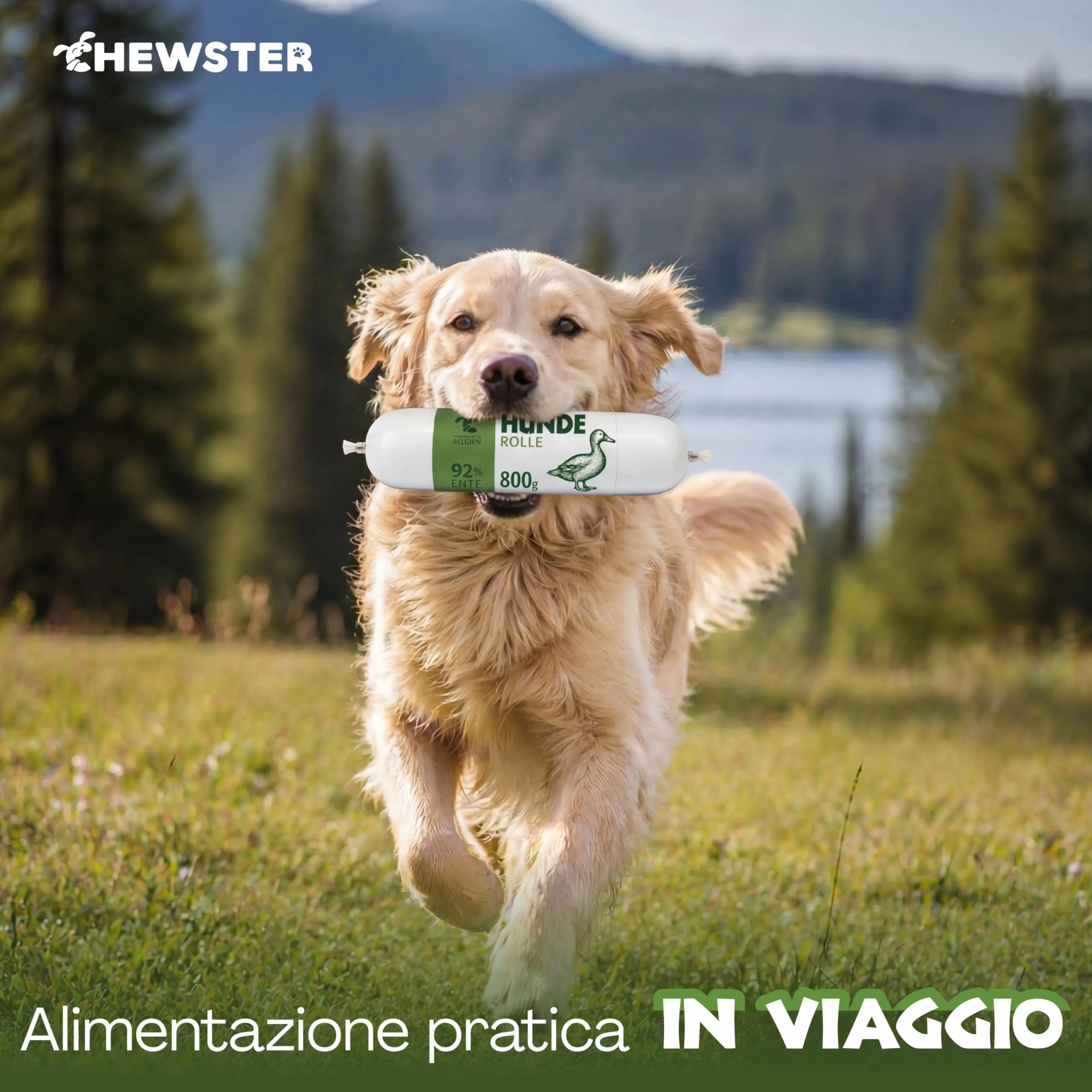 CHEWSTER Salsiccia per cani – anatra – 4 × 800 g (3,2 kg) – Rotolo di cibo umido per cani senza cereali ad alto contenuto di carne – Alimento completo - immagine 5