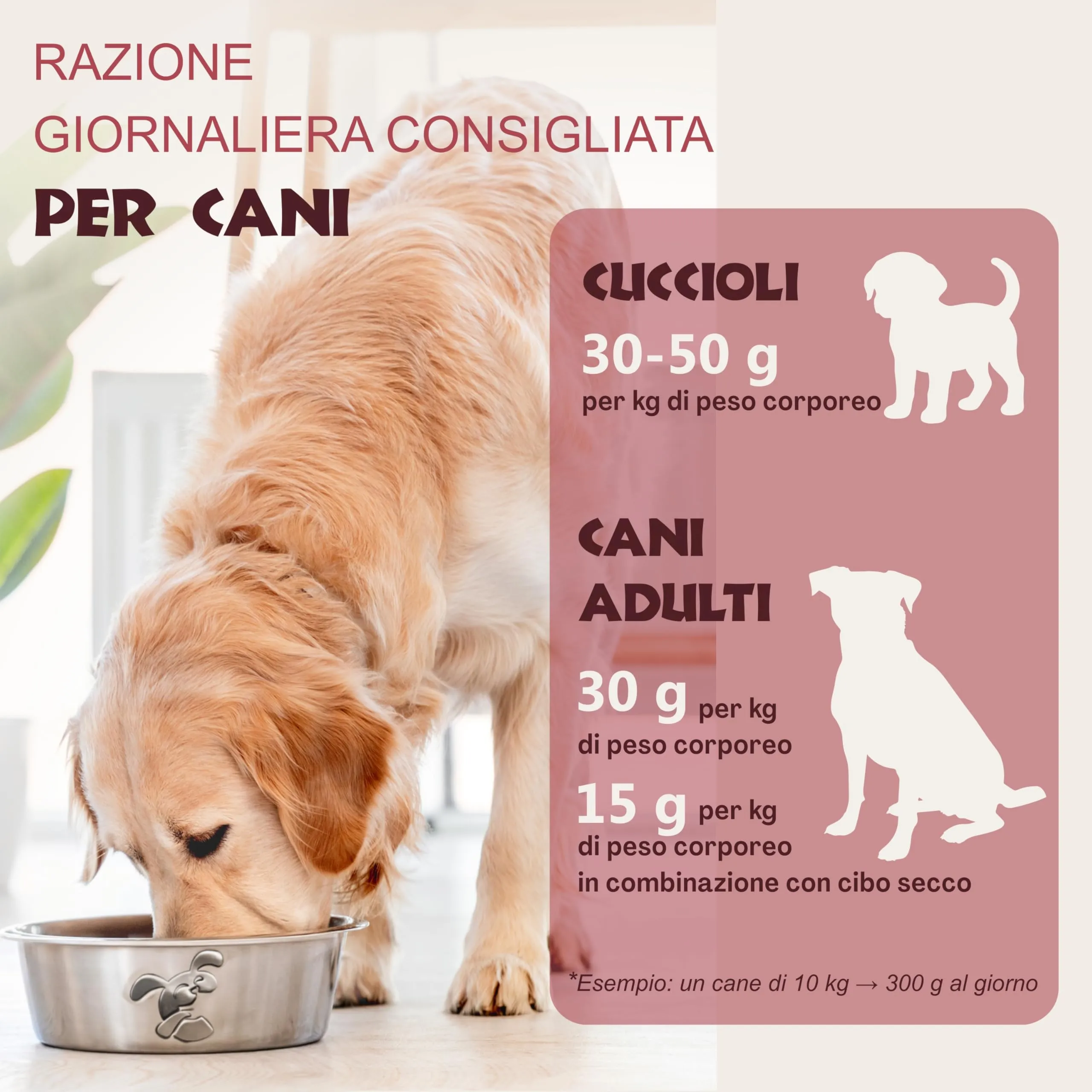 CHEWSTER Salsiccia per cani – manzo – 4 × 800 g (3,2 kg) – Rotolo di cibo umido per cani senza cereali ad alto contenuto di carne – Alimento completo - immagine 3