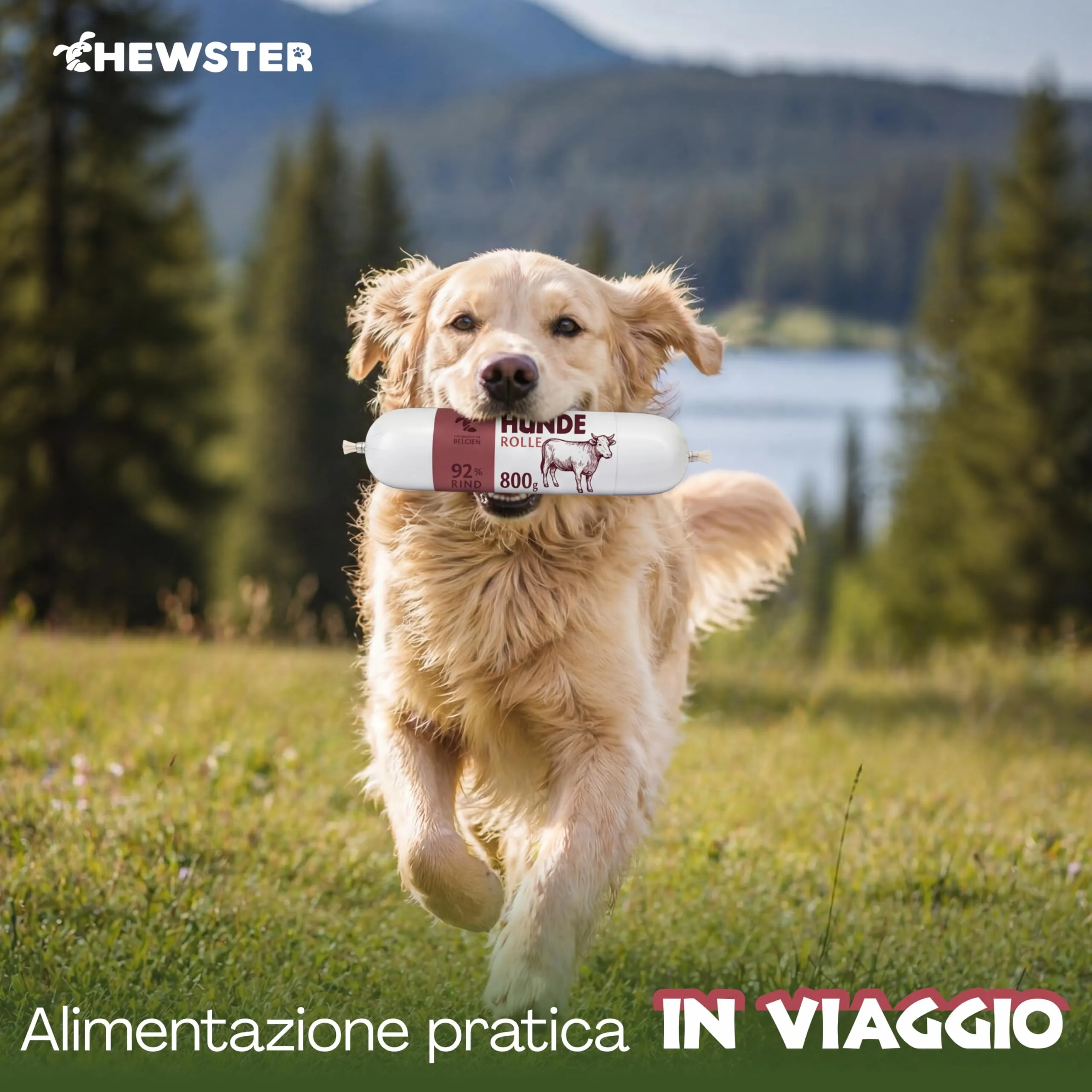 CHEWSTER Salsiccia per cani – manzo – 4 × 800 g (3,2 kg) – Rotolo di cibo umido per cani senza cereali ad alto contenuto di carne – Alimento completo - immagine 5