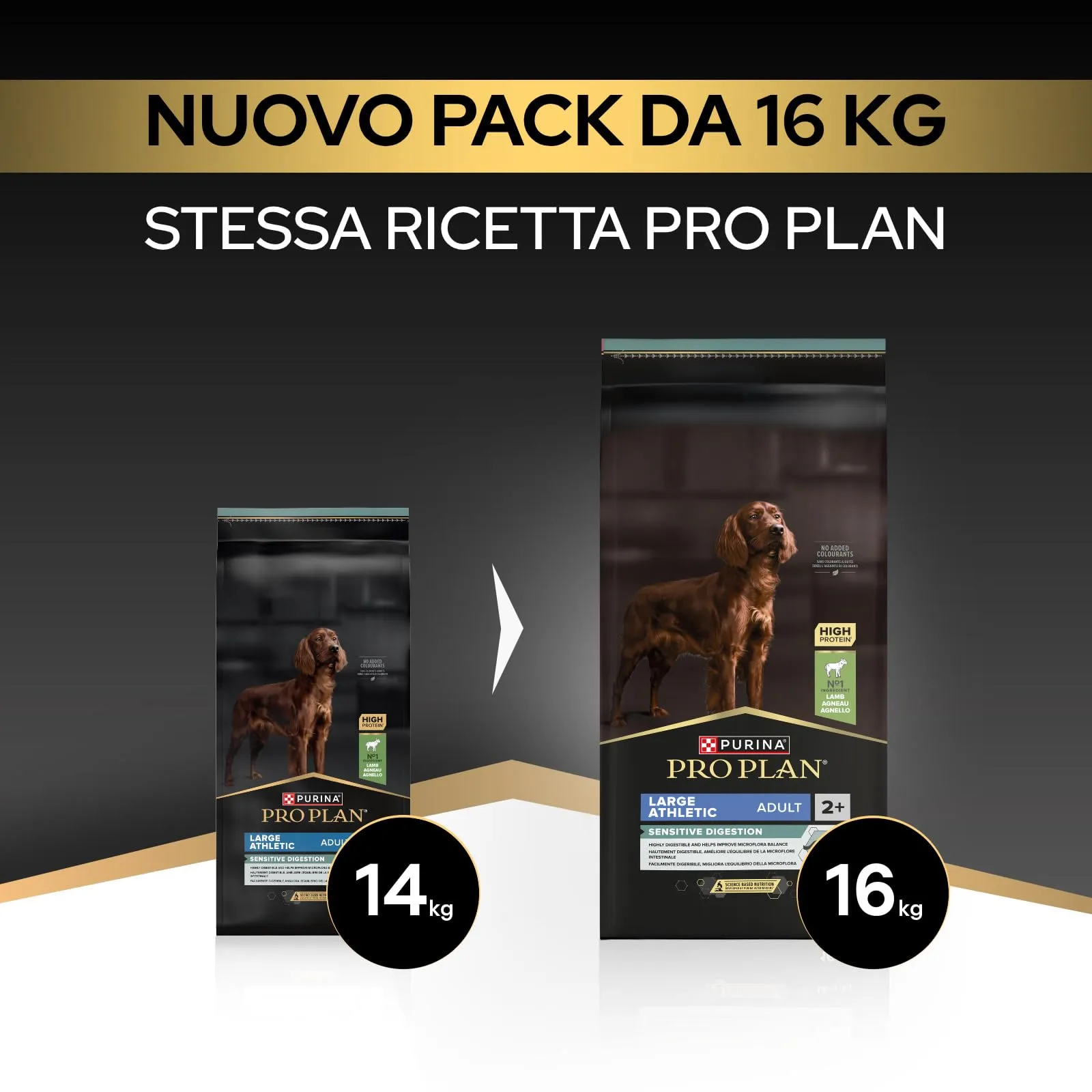 PURINA PRO PLAN Athletic Sensitive Digestion Crocchette cani, Sacco da 16kg - immagine 2