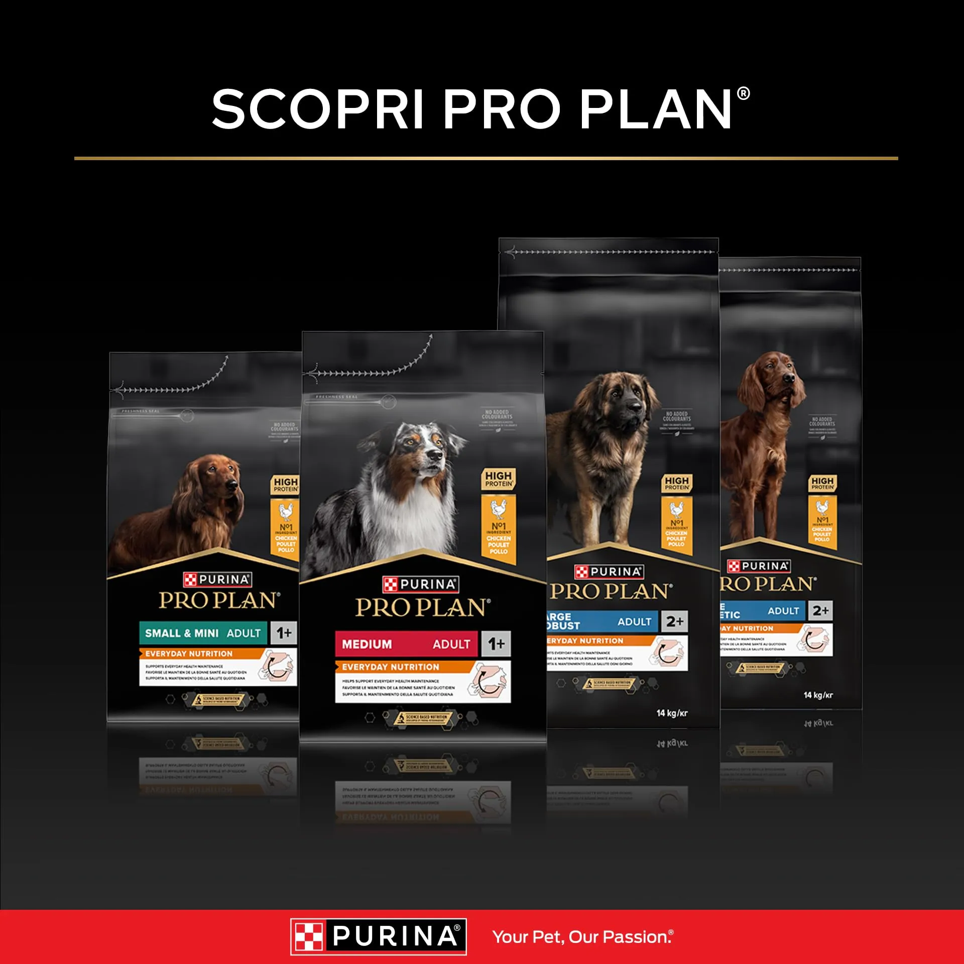 PURINA PRO PLAN Athletic Sensitive Digestion Crocchette cani, Sacco da 16kg - immagine 8