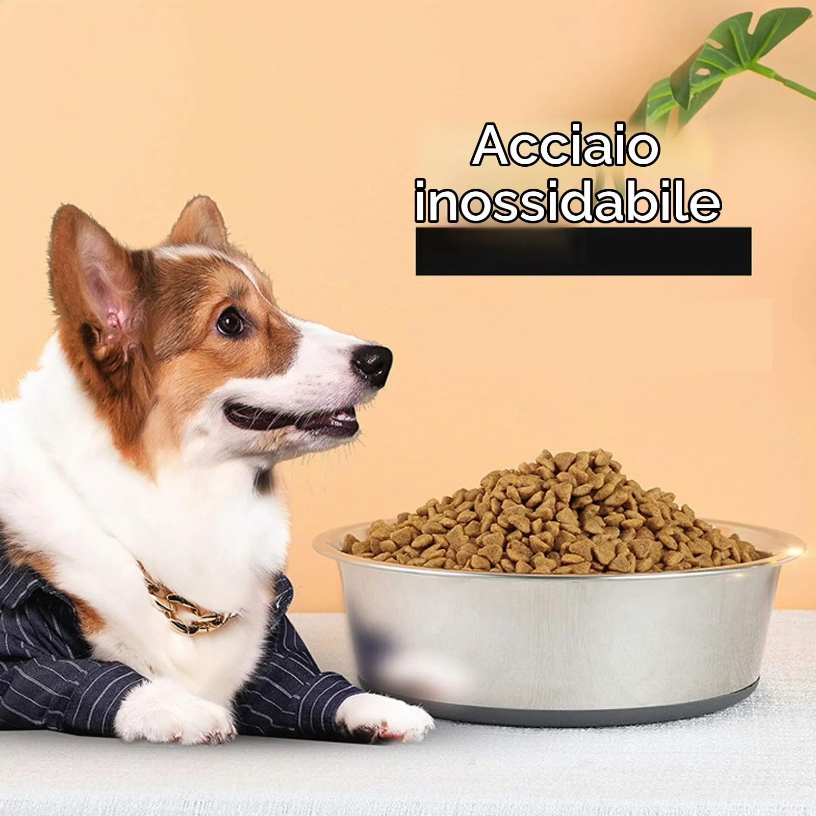 SUOXU Ciotole spesse in acciaio inox per cani e gatti, basi in silicone antiscivolo, mangiatoia per cani di taglia media e piccola e ciotole per acqua (M, 17 cm) - immagine 7
