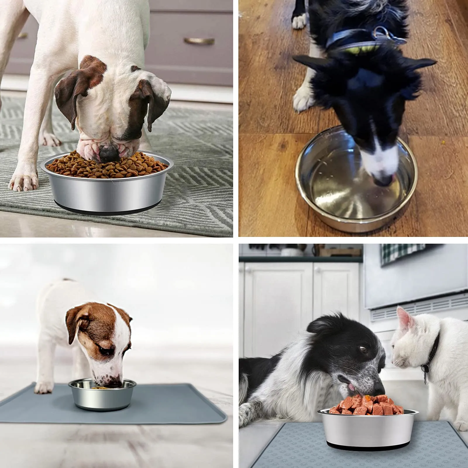 SUOXU Ciotolette per cani in acciaio inossidabile spesso, 2 ciotole per cani con base antiscivolo in silicone, ciotole per cibo e acqua per cani di taglia media e piccola (M-17 cm) - immagine 7