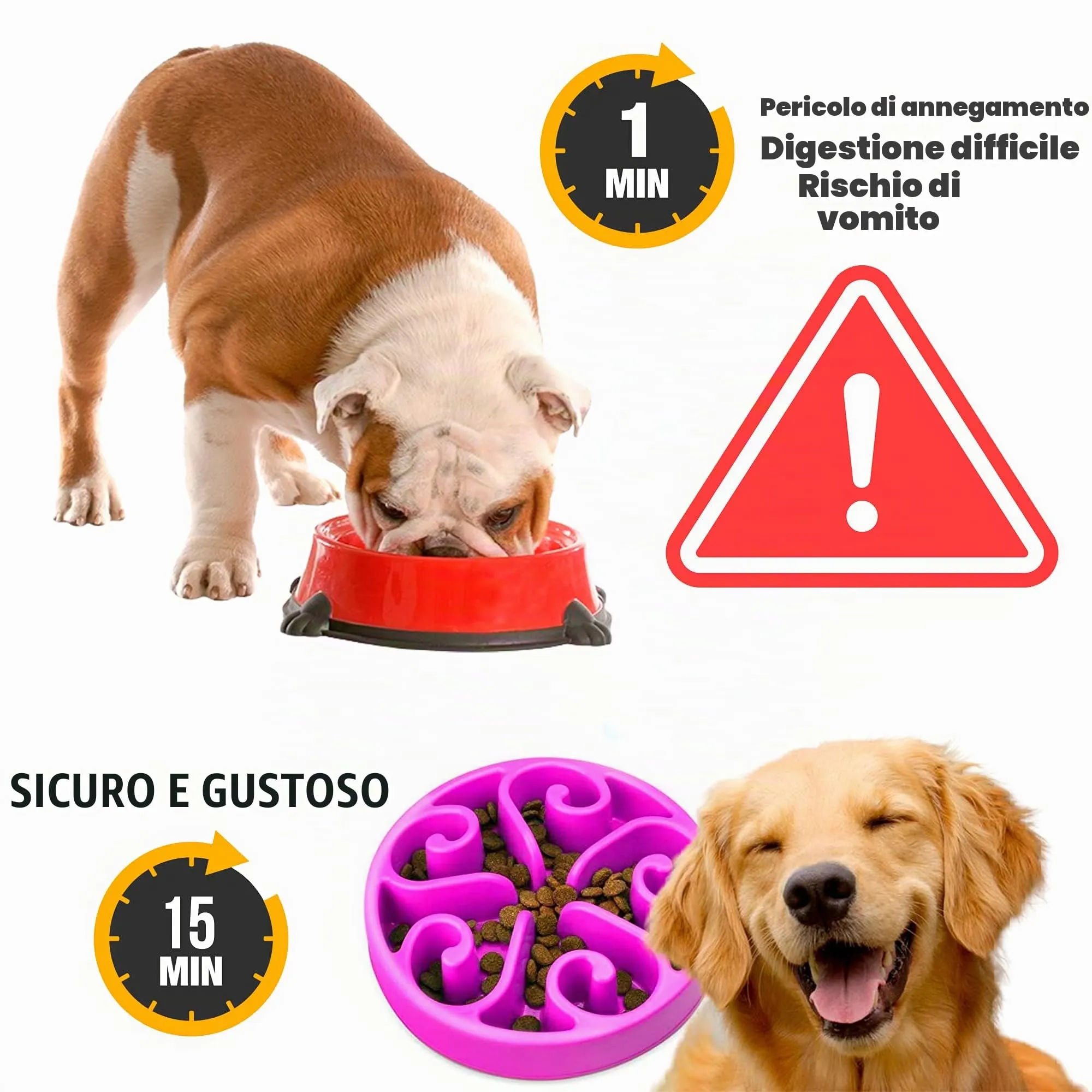 Edipets, Ciotola Anti Ingozzamento, Ciotole per Cani, Interattiva, per Animali Domestici, di Medie e Grandi Dimensioni (Viola) - immagine 2