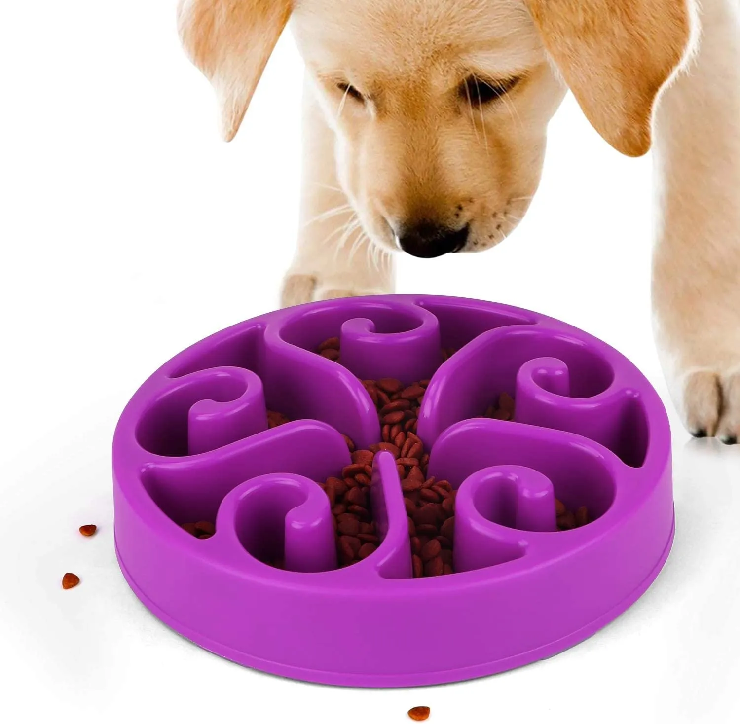 Edipets, Ciotola Anti Ingozzamento, Ciotole per Cani, Interattiva, per Animali Domestici, di Medie e Grandi Dimensioni (Viola) - immagine 5