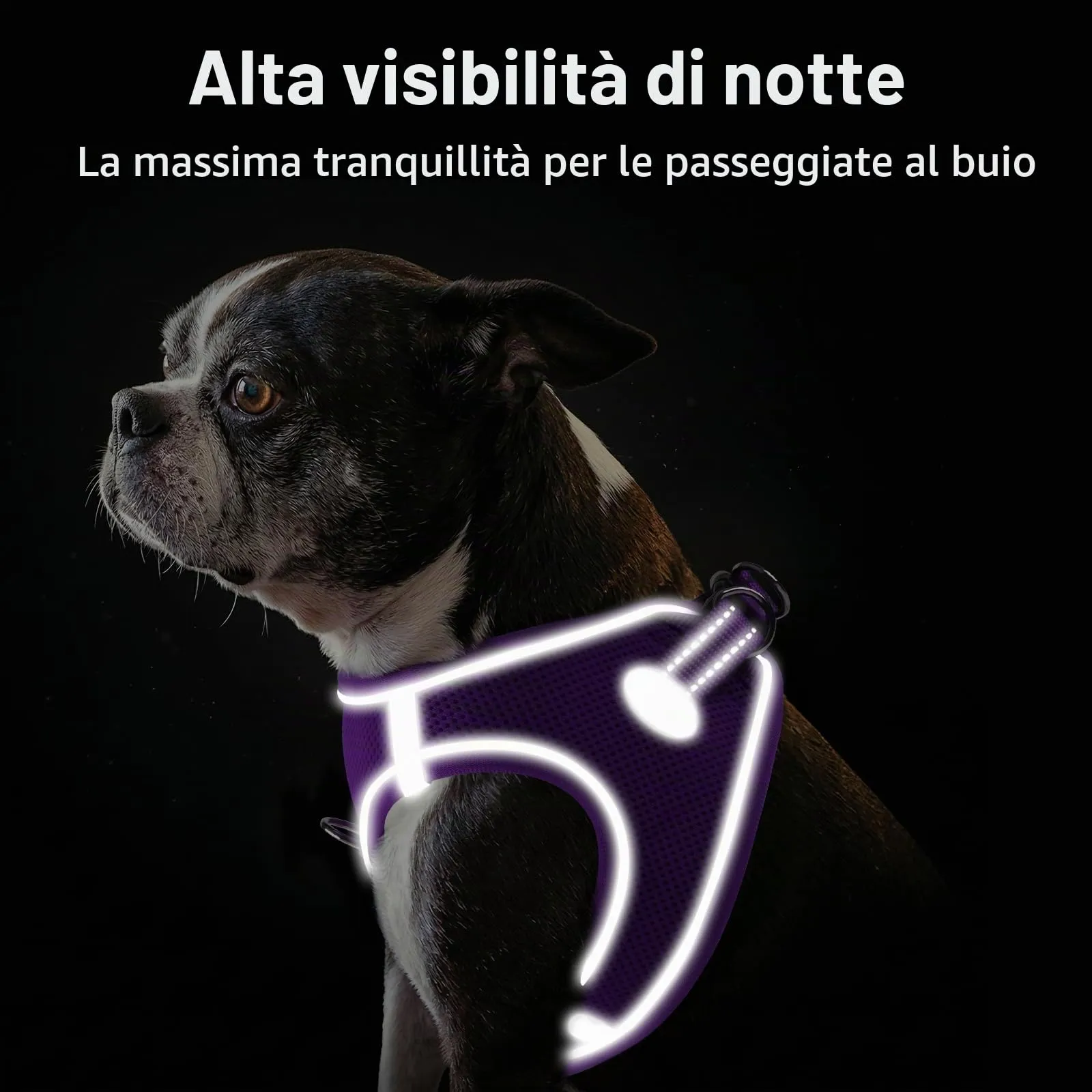 Joytale Pettorina Cane Piccola, Maglia Morbida Traspirante, Viola S - immagine 5