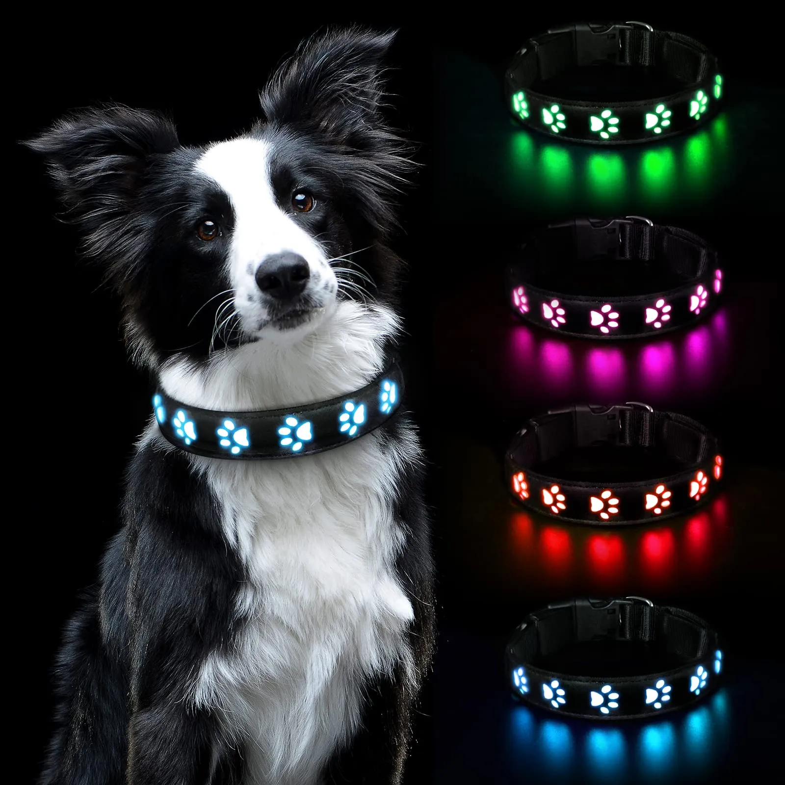 AUAUY Collare Luminoso per Cani, LED Ricaricabile e Impermeabile, Blu-M - immagine 1