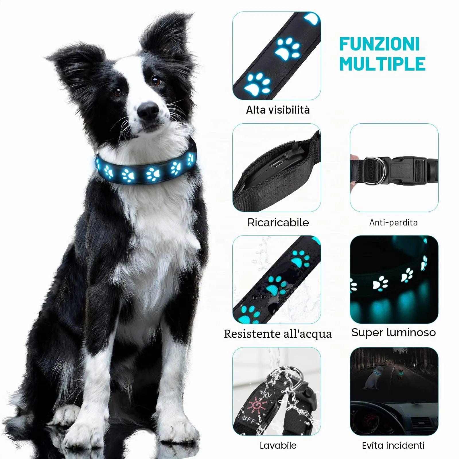 AUAUY Collare Luminoso per Cani, LED Ricaricabile e Impermeabile, Blu-M - immagine 2