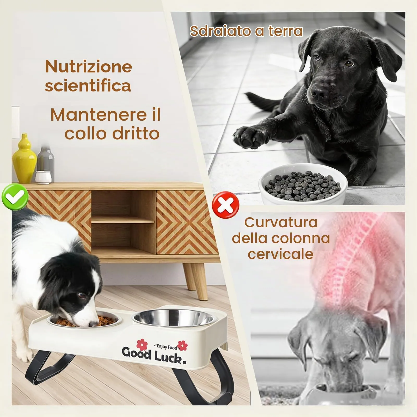 Ciotola rialzata per cani con 2 ciotole in acciaio inossidabile, ciotola pieghevole per gatti, ciotola rialzata antiscivolo e ciotola per l'acqua per gatti e cani (bianco) - immagine 6