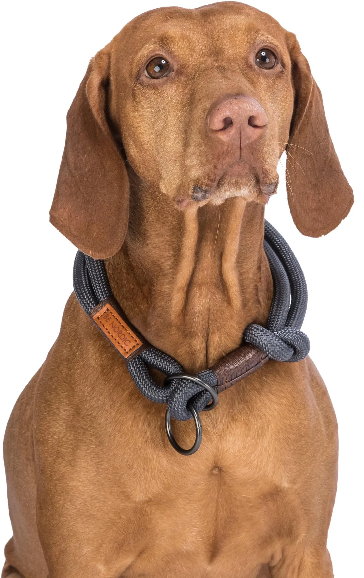 Trixie Collare educativo BE Nordic, L–XL: 55 cm/13 mm, Grigio Scuro/Marrone, Cane - immagine 5