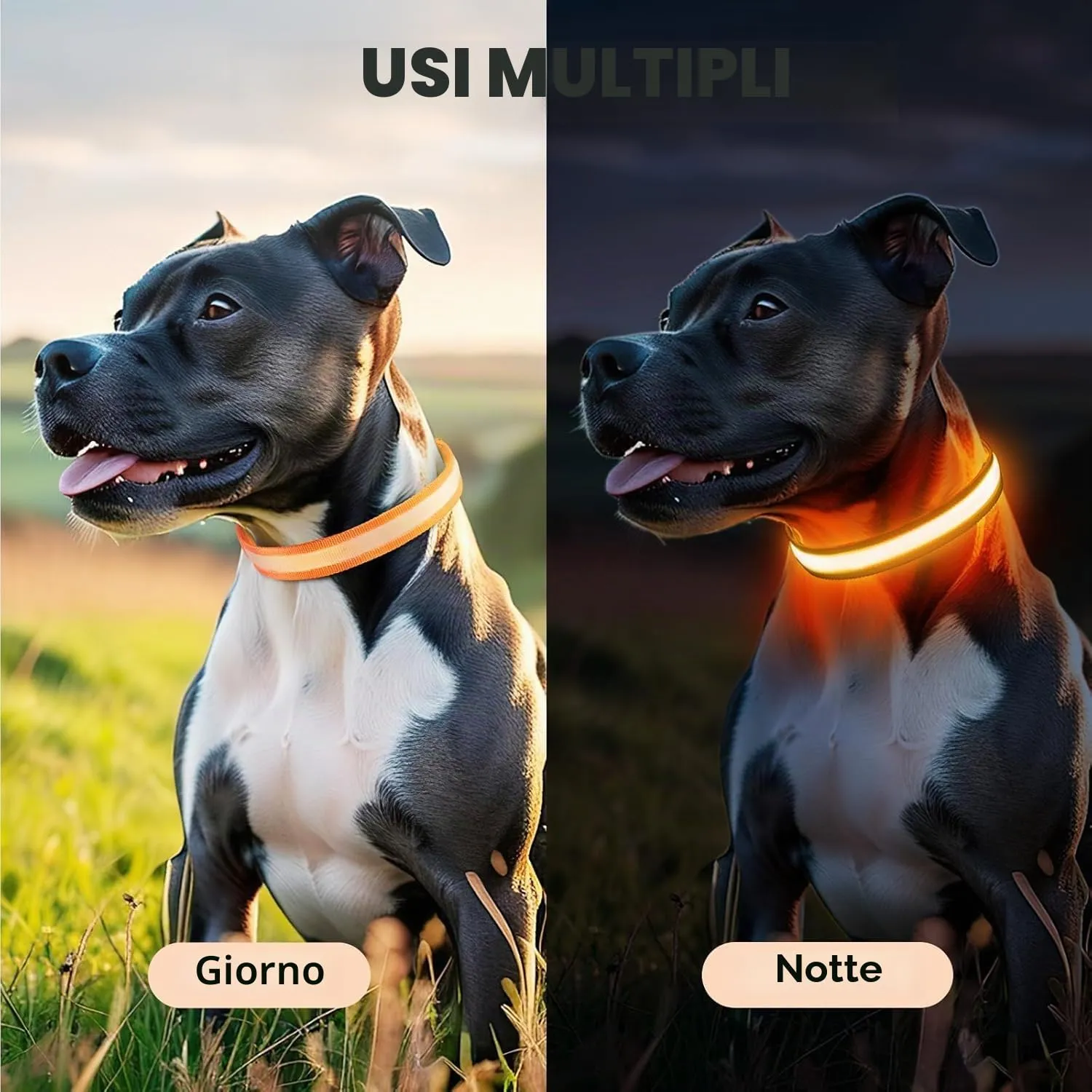 PcEoTllar Collare Luminoso per Cani, Impermeabile, Arancione-L - immagine 6