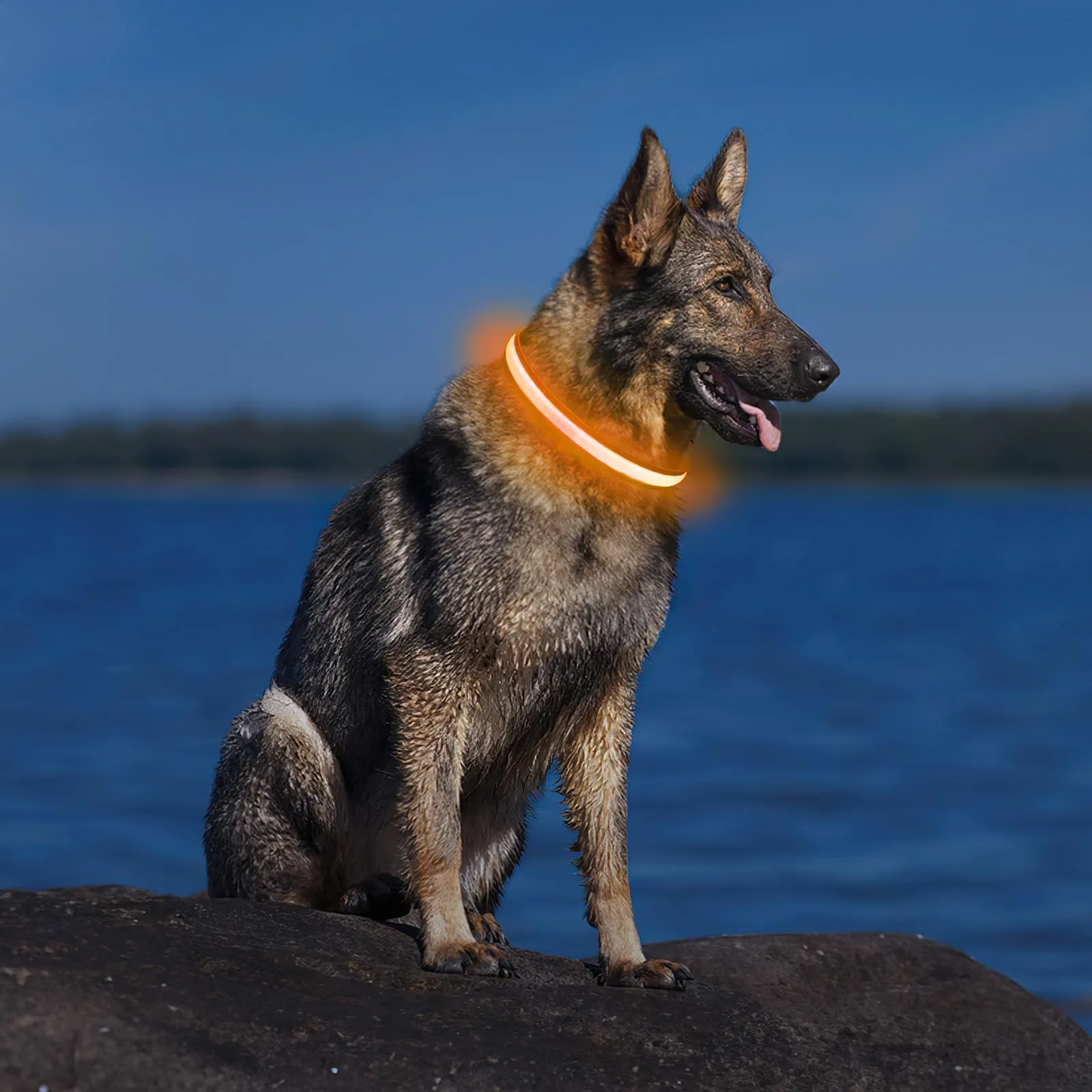 PcEoTllar Collare Luminoso per Cani, Impermeabile, Arancione-L - immagine 7