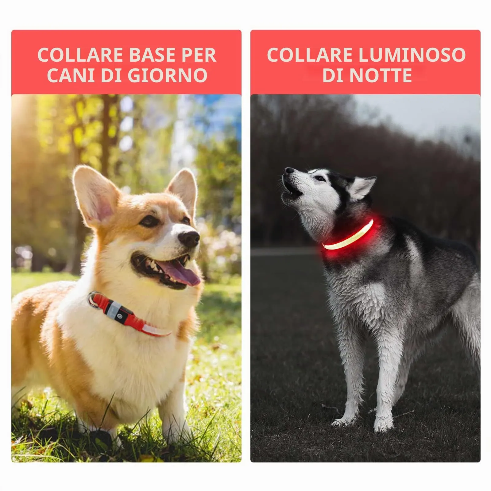 PcEoTllar Collare Luminoso per Cani, Impermeabile, Rosso-L - immagine 2