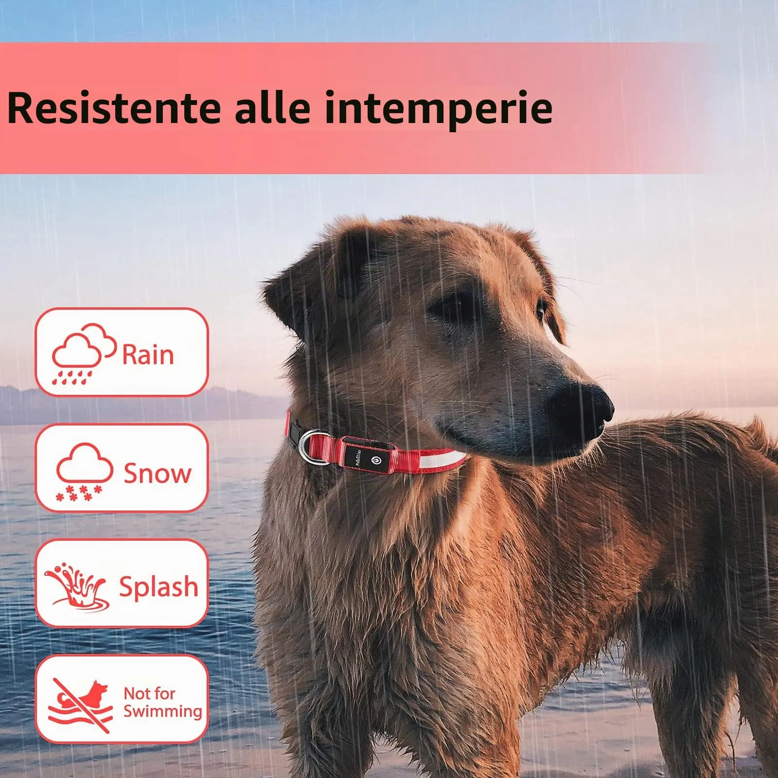 PcEoTllar Collare Luminoso per Cani, Impermeabile, Rosso-L - immagine 5