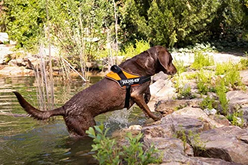 Julius-K9, Pettorina IDC Powair, Taglia: 3XS / Baby 1, Arancione - immagine 3