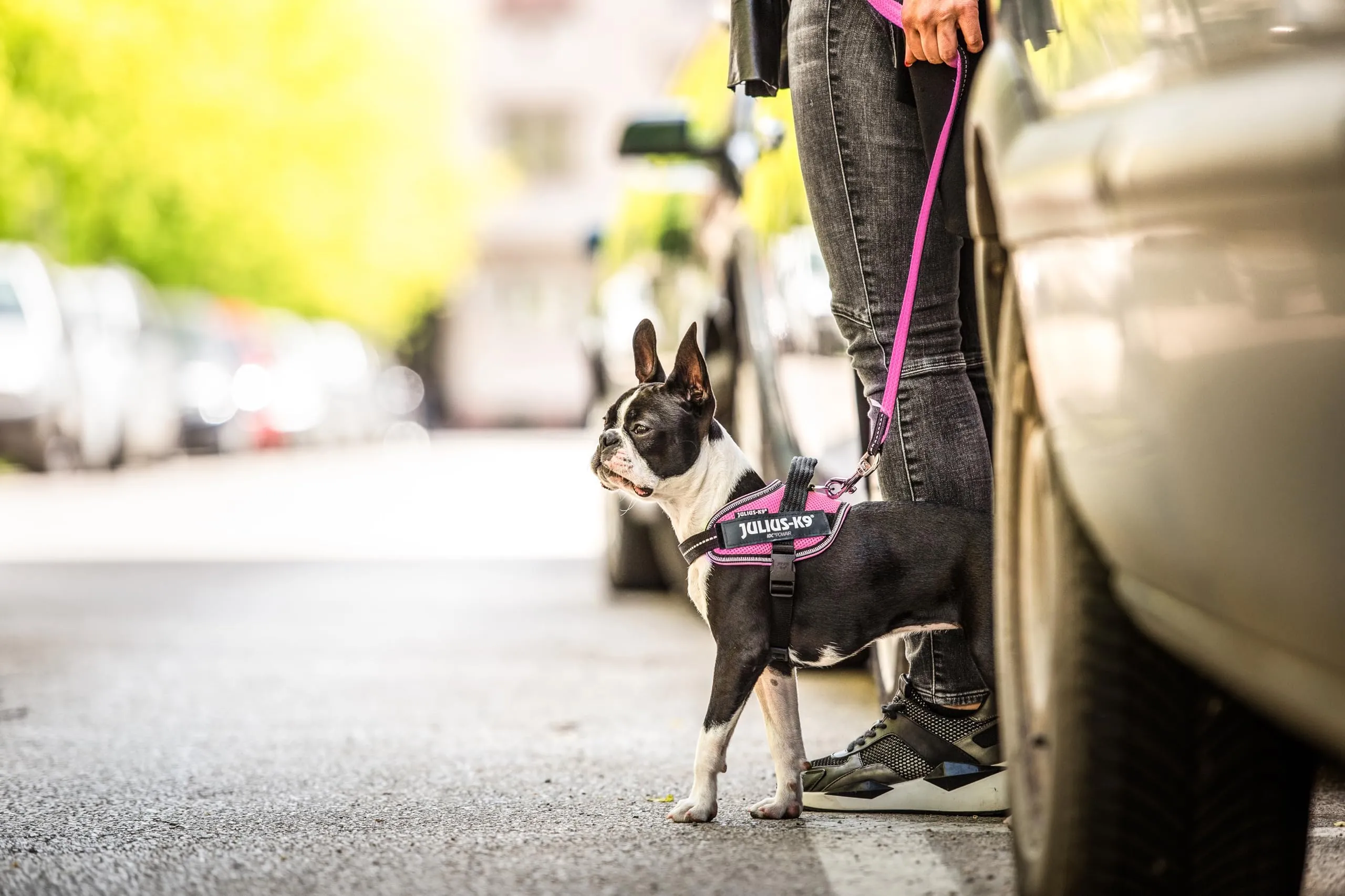 Julius-K9, Pettorina IDC Powair, Taglia: XS/Mini-Mini, Rosa - immagine 4