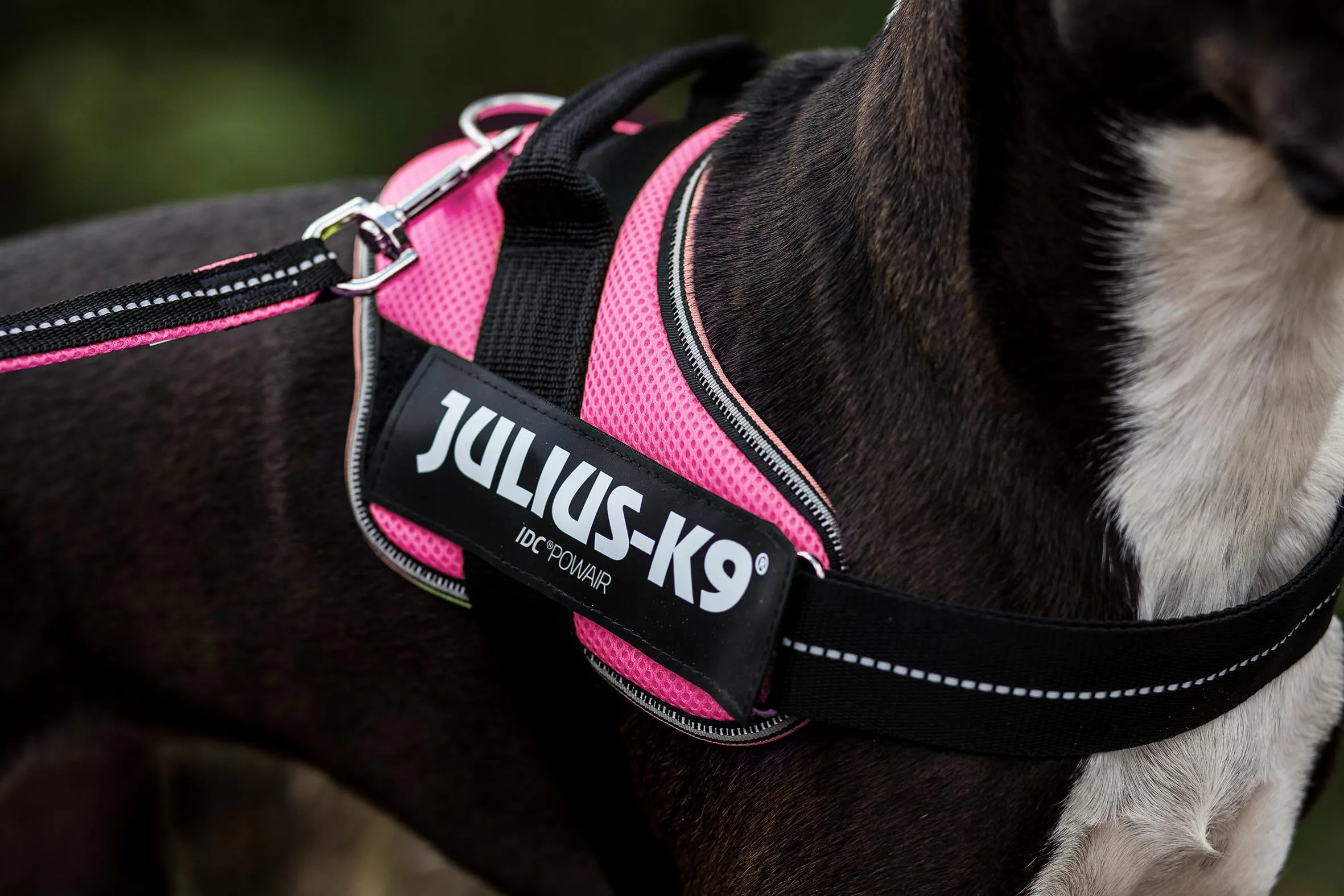 Julius-K9, Pettorina IDC Powair, Taglia: M / 0, Rosa - immagine 5