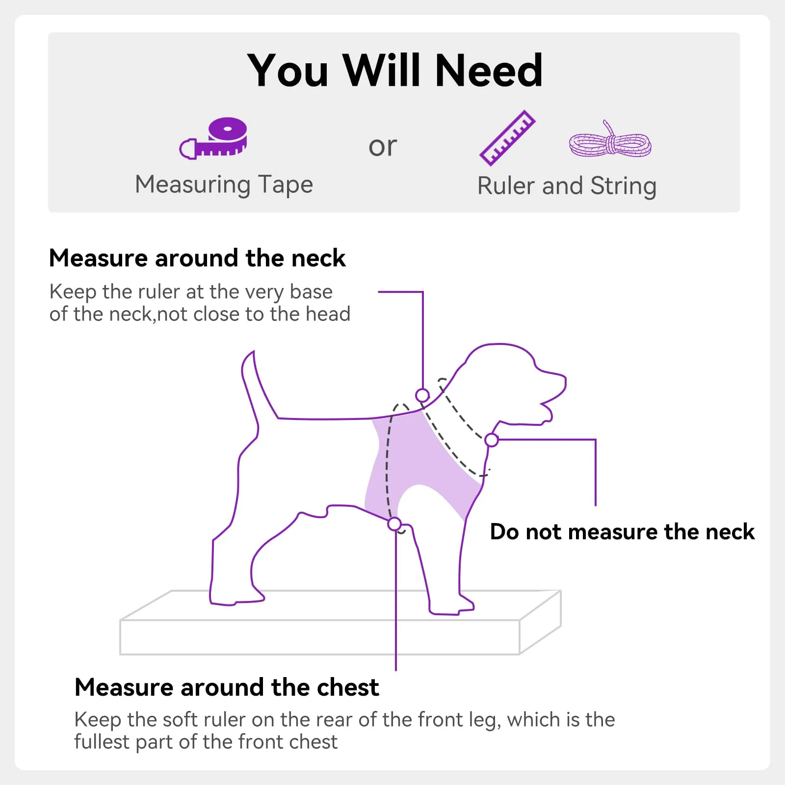 Joytale Pettorina Cane Piccola, Maglia Morbida Traspirante, Viola XXS - immagine 7