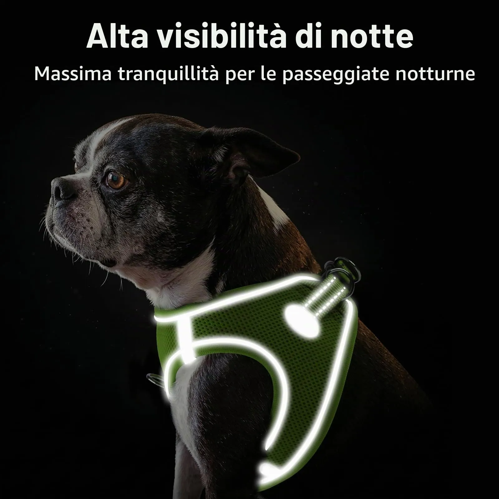 Joytale Pettorina Cane Piccola, Maglia Morbida Traspirante, Verde XXS - immagine 5