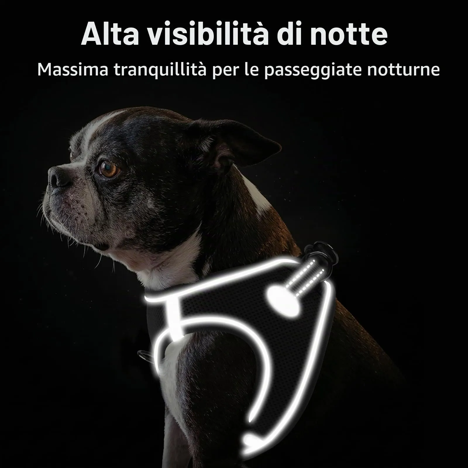 Joytale Pettorina Cane Piccola, Maglia Morbida Traspirante, Nero L - immagine 4