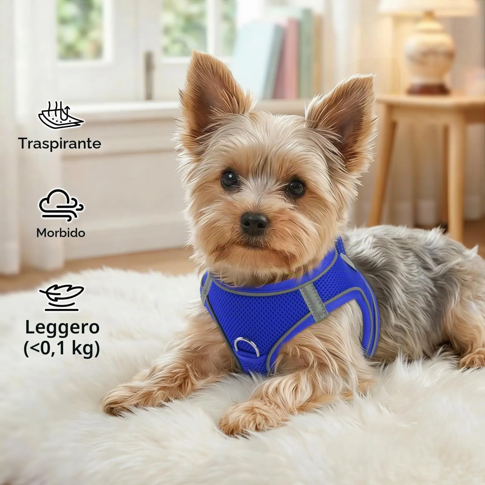 Joytale Pettorina Cane Piccola, Maglia Morbida Traspirante, Blu Navy L - immagine 4