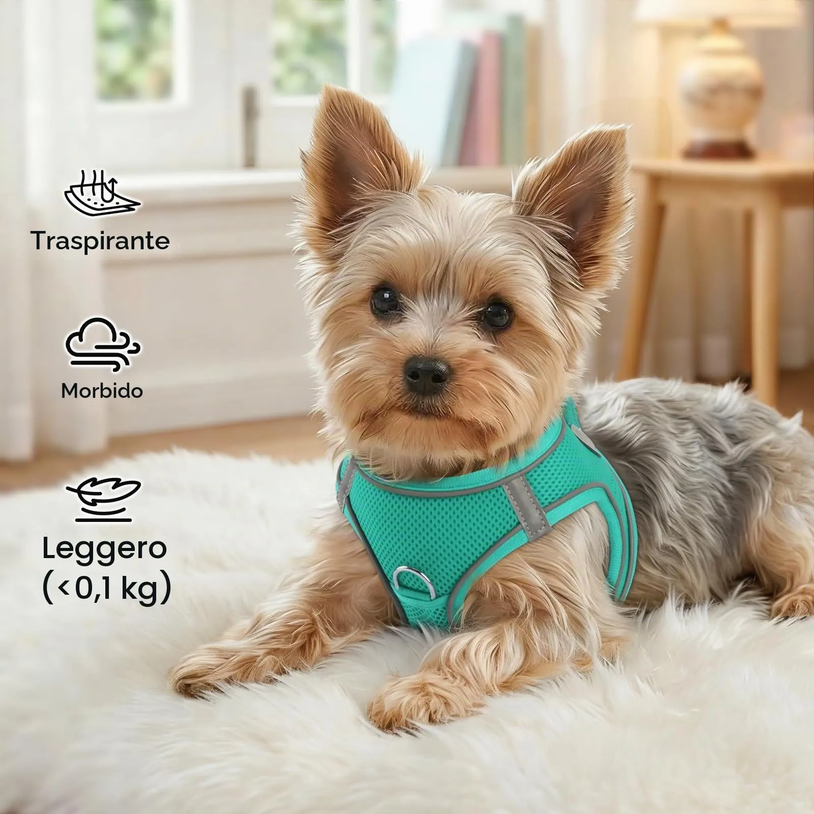 Joytale Pettorina Cane Piccola, Maglia Morbida Traspirante, Verde Acqua S - immagine 4