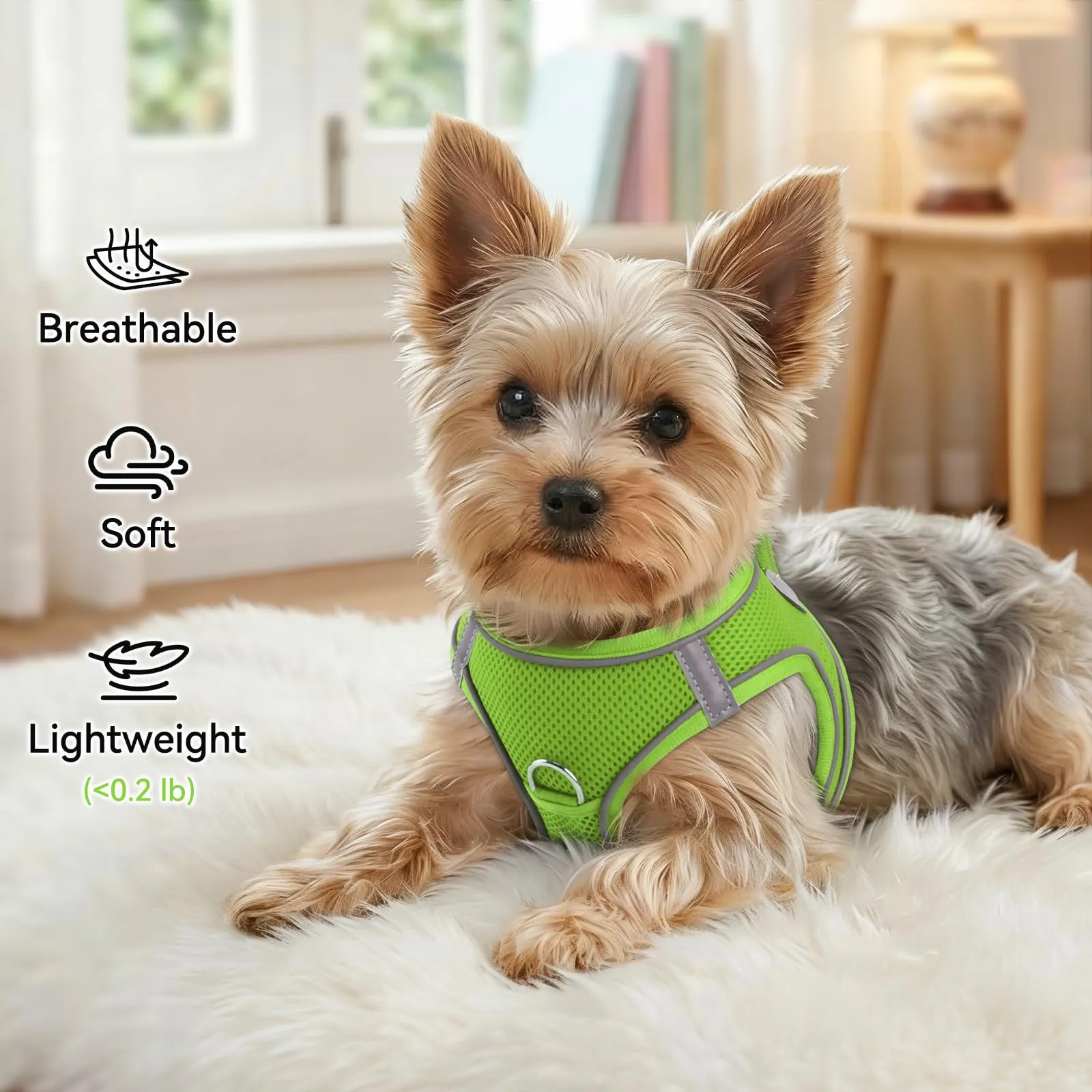 Joytale Pettorina Cane Piccola, Maglia Morbida Traspirante, Verde L - immagine 4