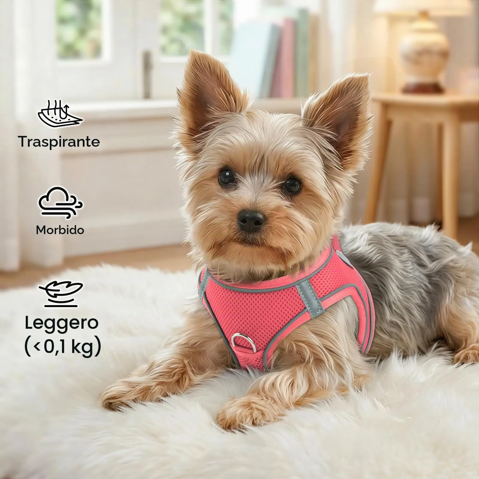 Joytale Pettorina Cane Piccola, Maglia Morbida Traspirante, Rosa XXS - immagine 4