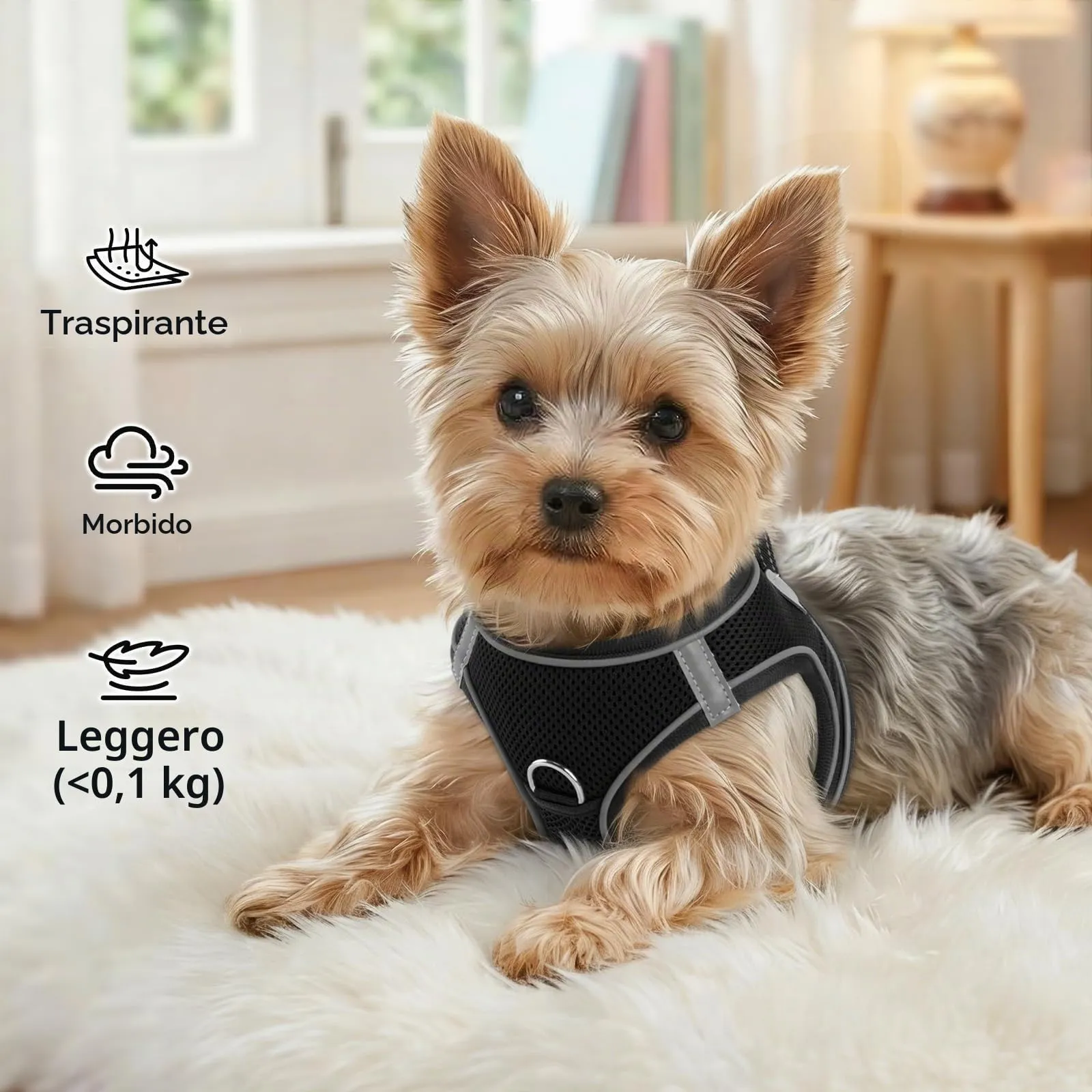 Joytale Pettorina Cane Piccola, Maglia Morbida Traspirante, Nero XL - immagine 4