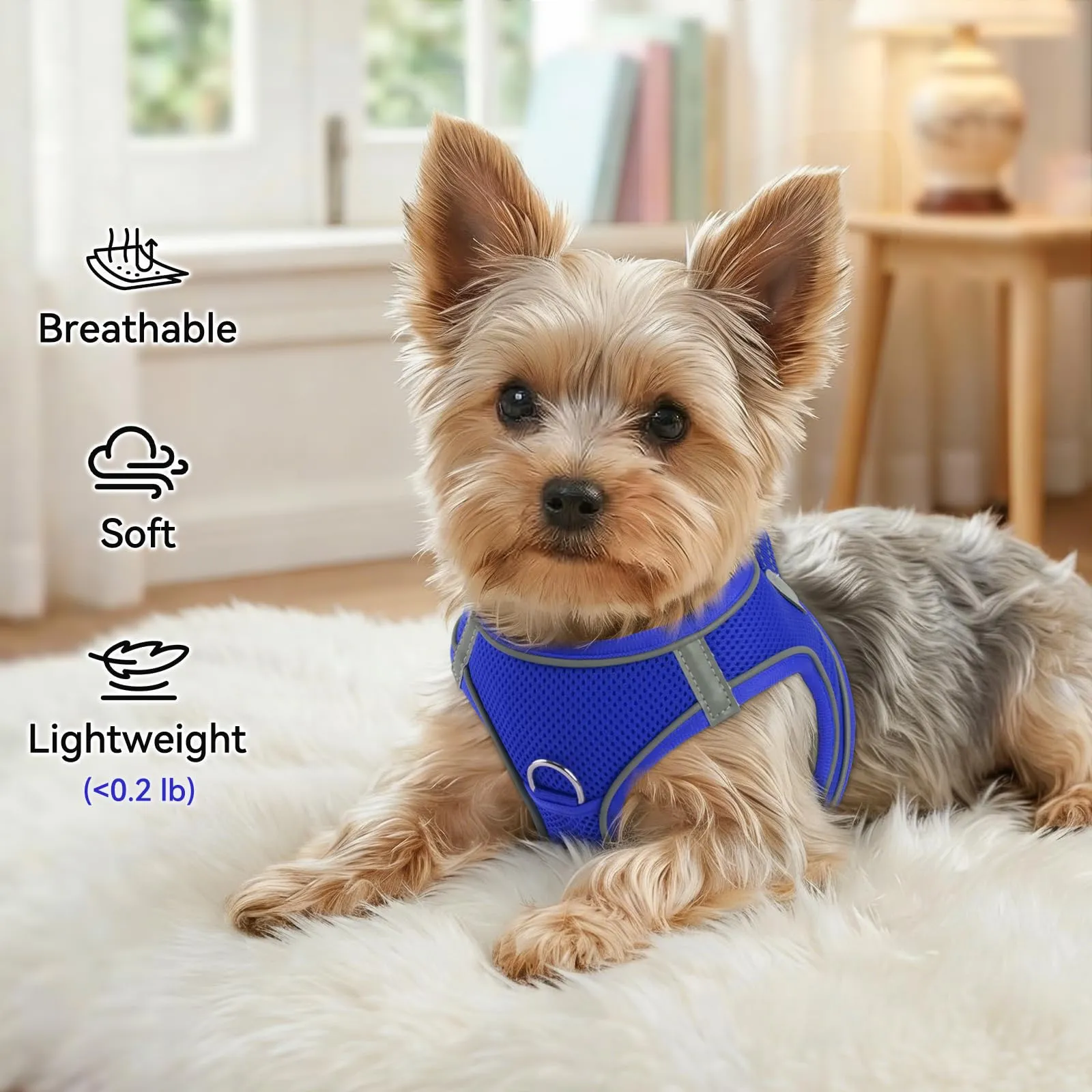 Joytale Pettorina Cane Piccola, Maglia Morbida Traspirante, Blu Navy XXXS - immagine 4