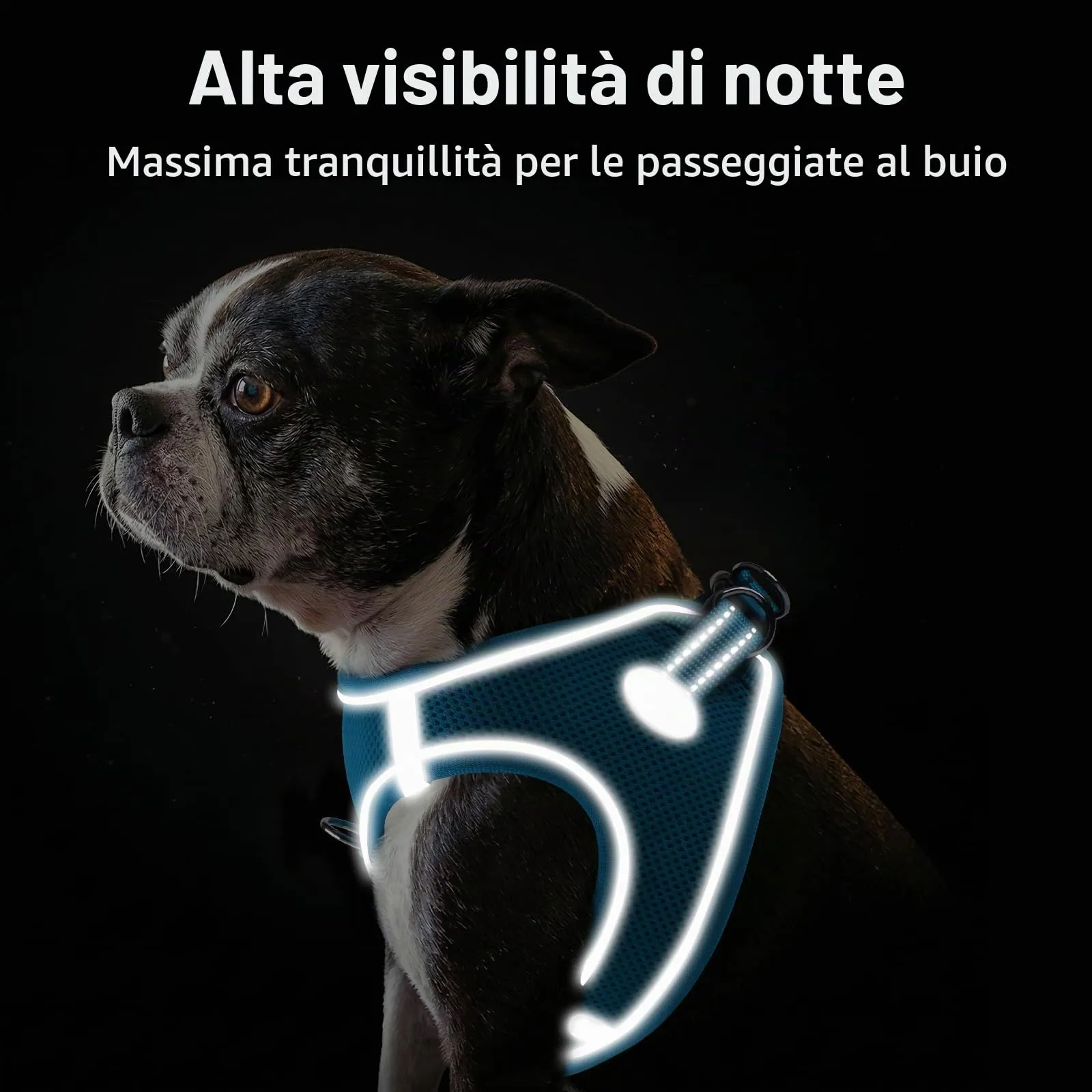 Joytale Pettorina Cane Piccola, Maglia Morbida Traspirante, Azzurro M - immagine 5