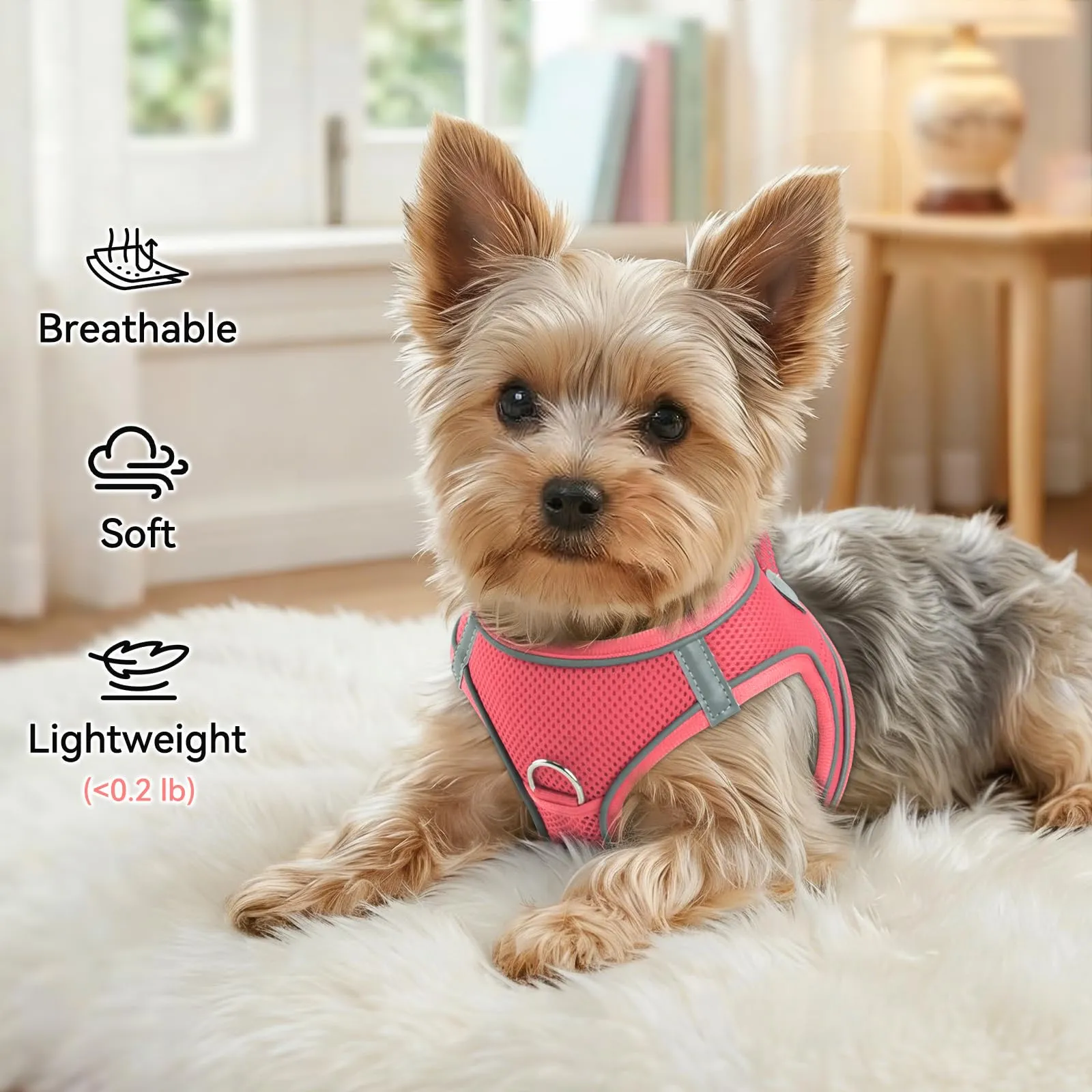 Joytale Pettorina Cane Piccola, Maglia Morbida Traspirante, Rosa XL - immagine 4