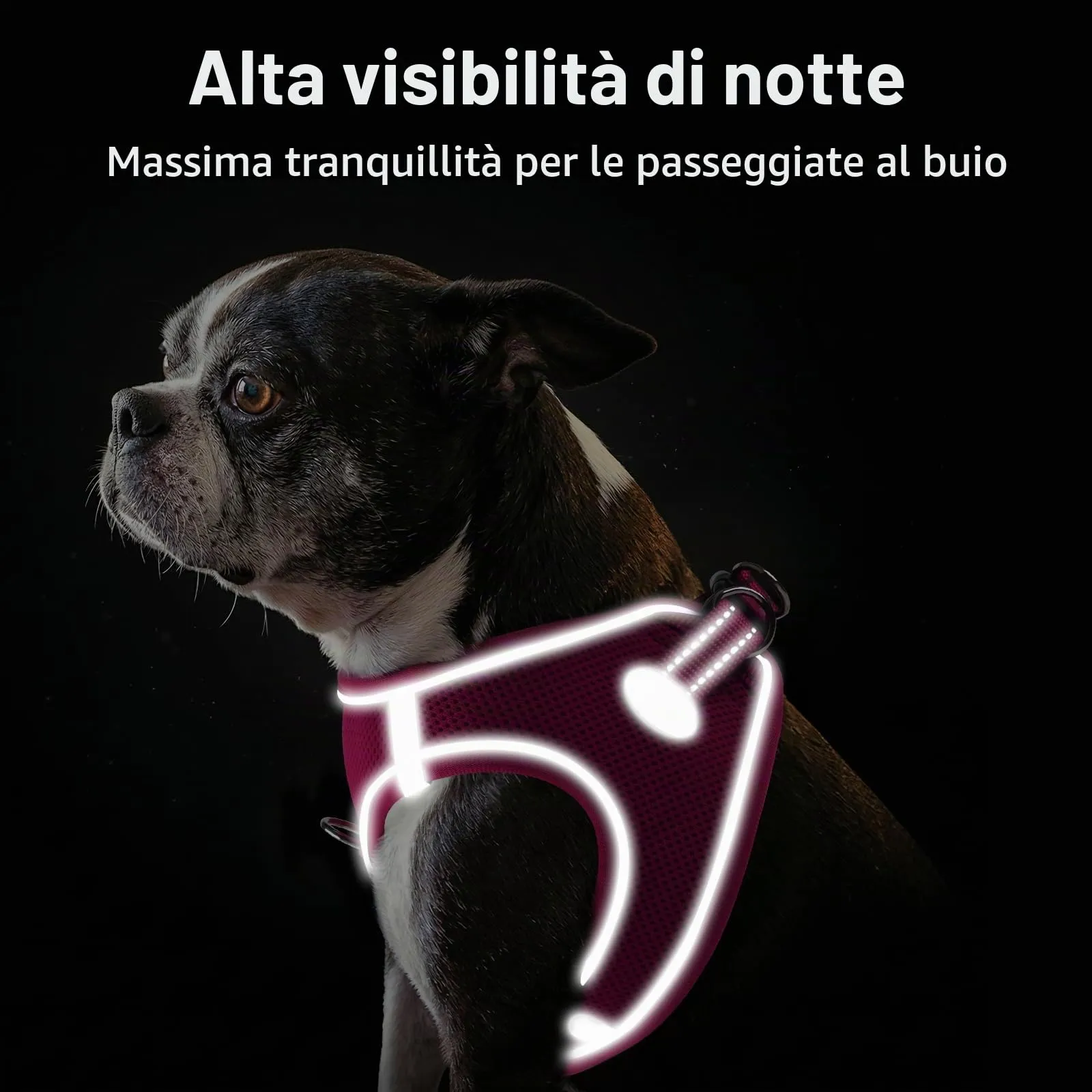 Joytale Pettorina Cane Piccola, Maglia Morbida Traspirante, Rosa Caldo XS - immagine 5
